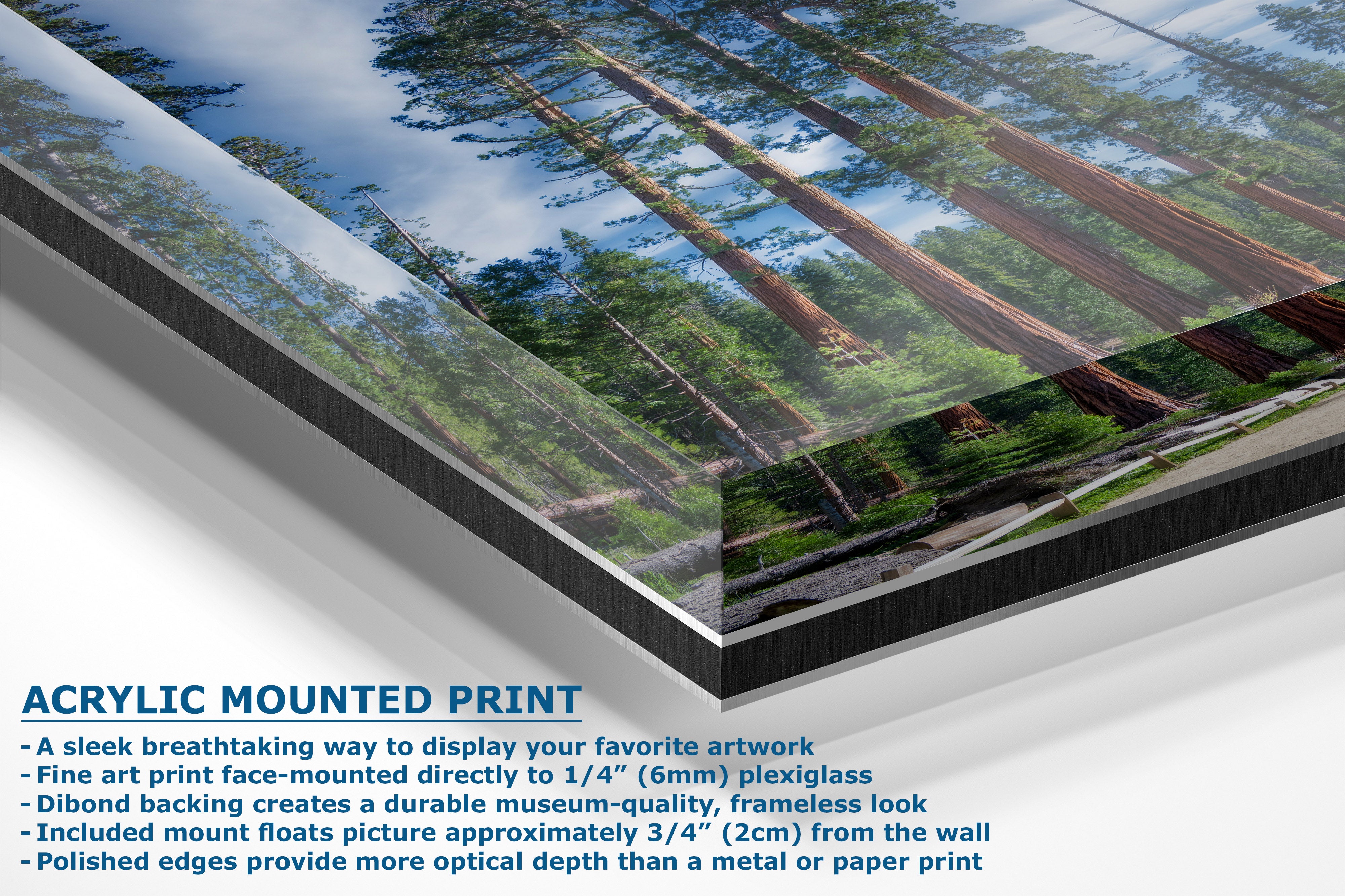 Acrylic mounted print of a forest scene with tall trees and blue sky reflections, shown at an angle with product features and text callouts on a white background.