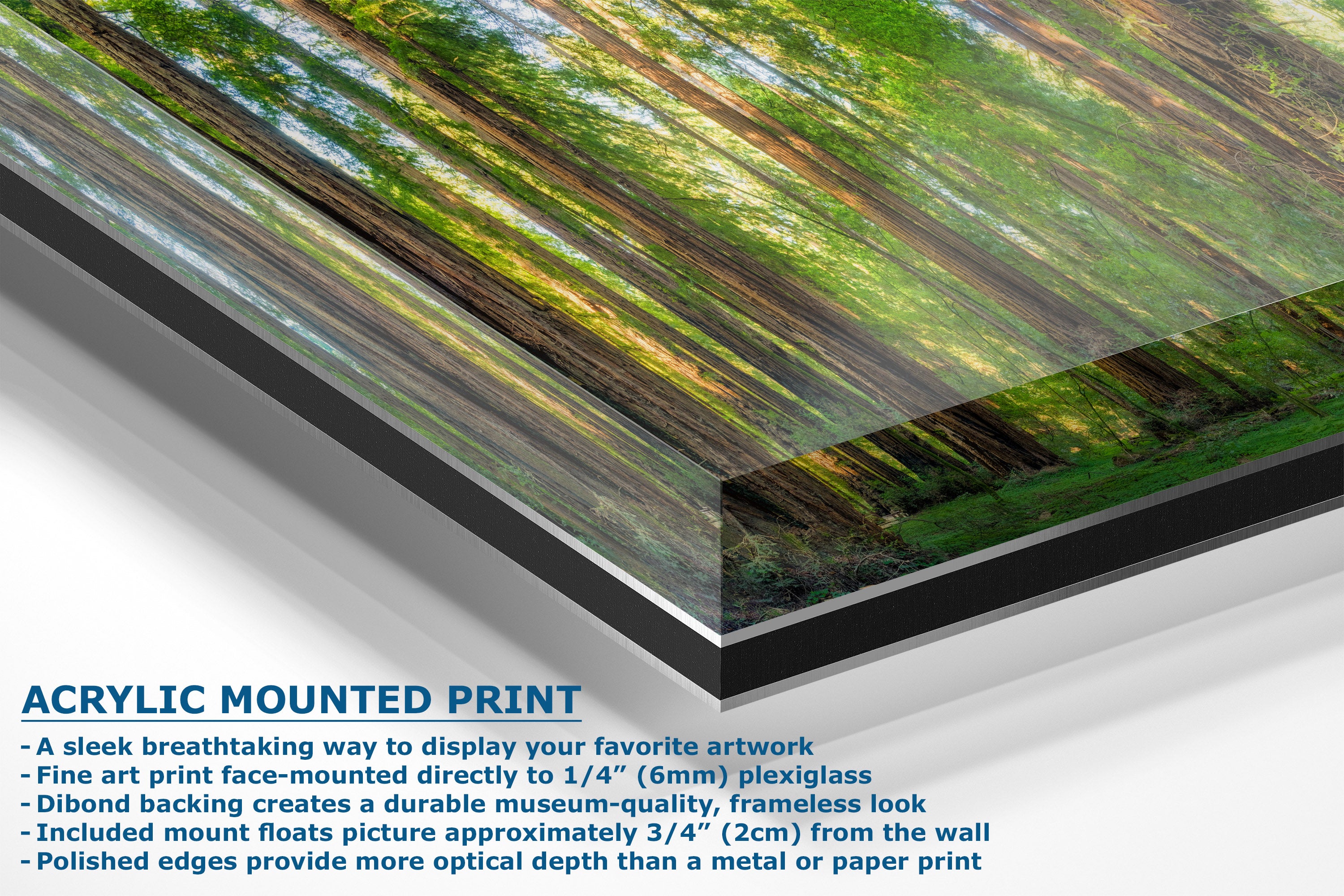 Acrylic mounted art print panel displaying a forest scene with trees and sunlight, shown at an angle with product features and text callouts on a white background.