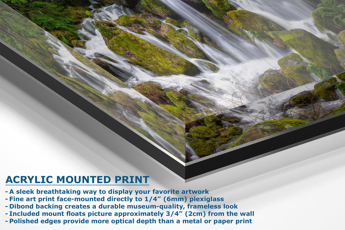 Acrylic mounted art print of a forest stream with flowing water over mossy rocks, shown at an angle with product specifications text below on a white background.