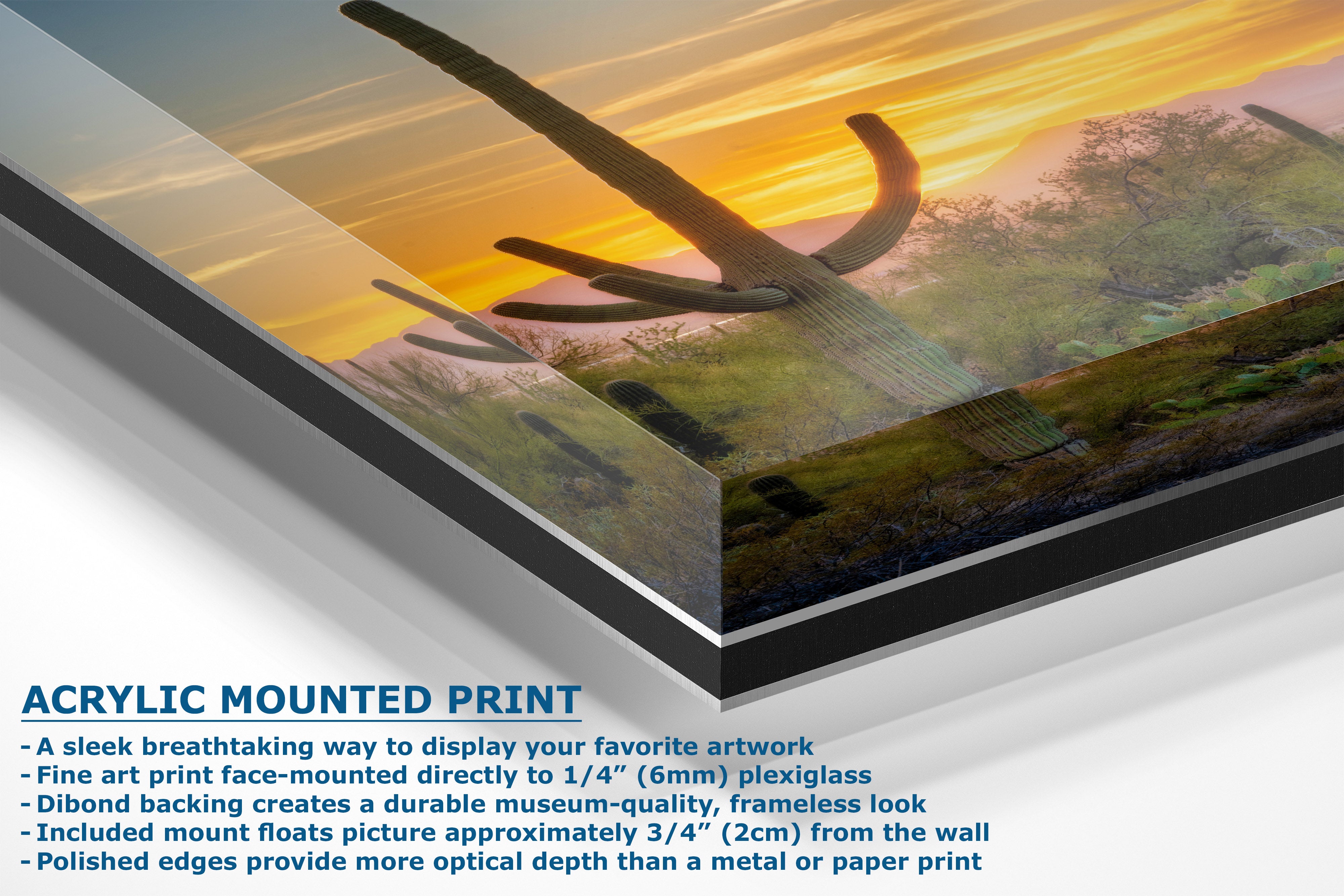 Acrylic mounted art print display showing a colorful dinosaur landscape artwork with descriptive text about the acrylic frame and mounting details.