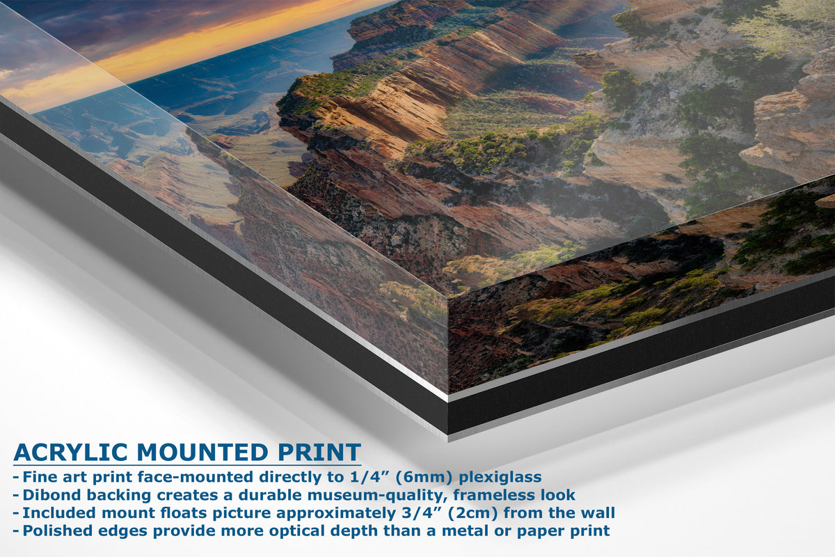Acrylic mounted art print of a canyon landscape, showing a close-up of the acrylic edge and a text overlay detailing the mounting features.