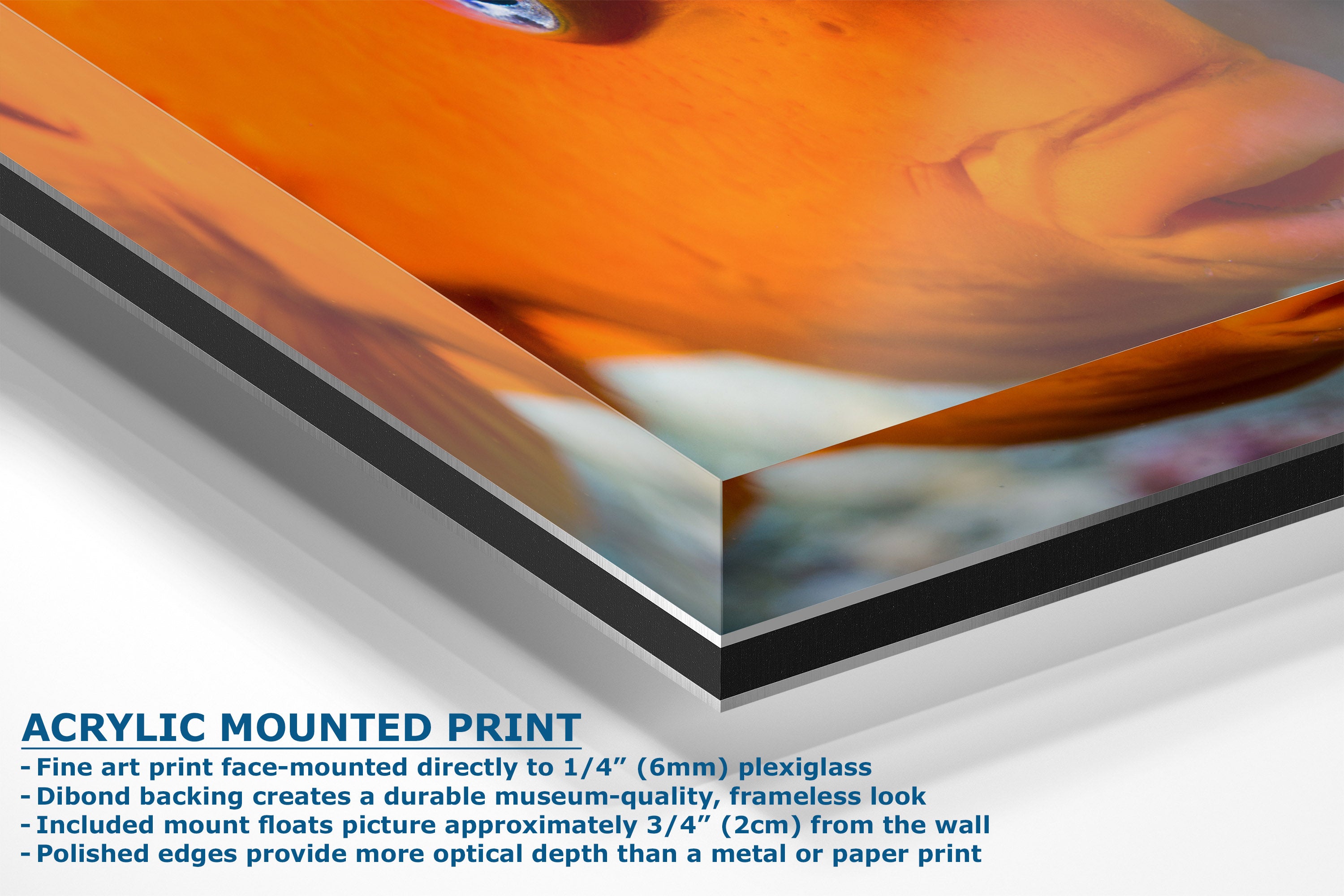 Acrylic mounted art print shown at an angle with descriptive text on a white background. The print features an abstract orange, black, and white design with a visible plexiglass edge and mount.