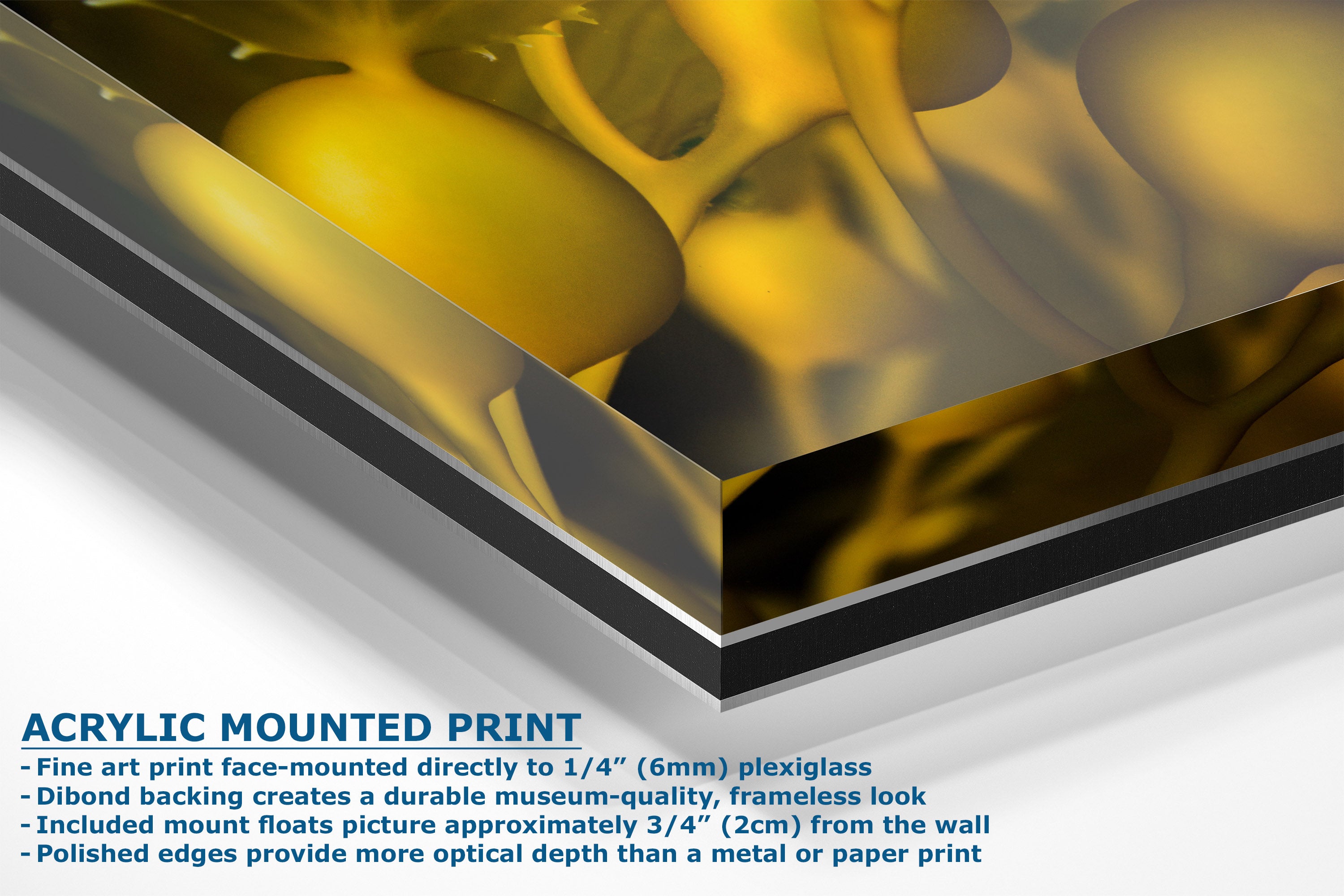 Acrylic mounted art print shown at an angle, featuring a yellow and black abstract design. The image includes descriptive text highlighting the features of the acrylic mount, such as direct mounting to acrylic and the inclusion of mount floats.