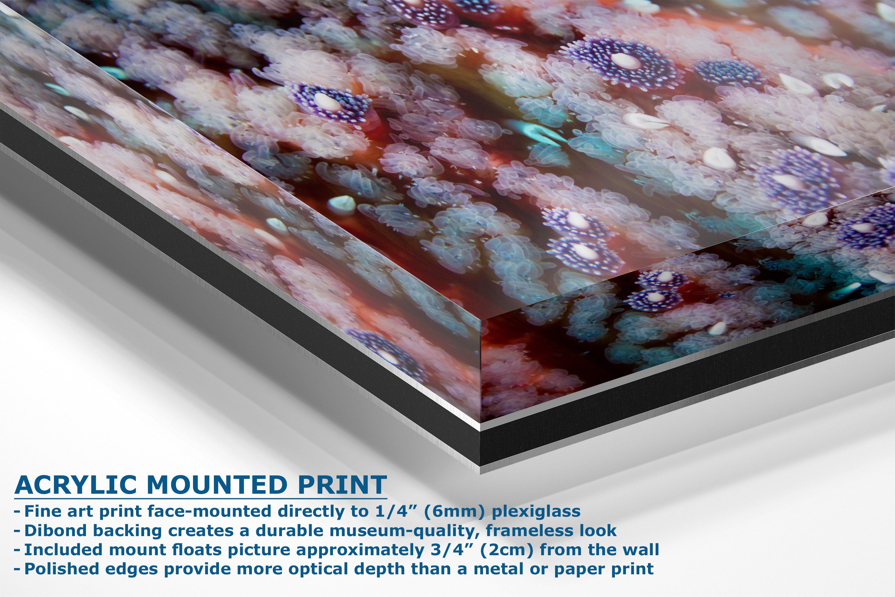 Acrylic mounted art print featuring a colorful abstract with pink, purple, blue, and white tones, shown at an angle with product details and text on a white background.