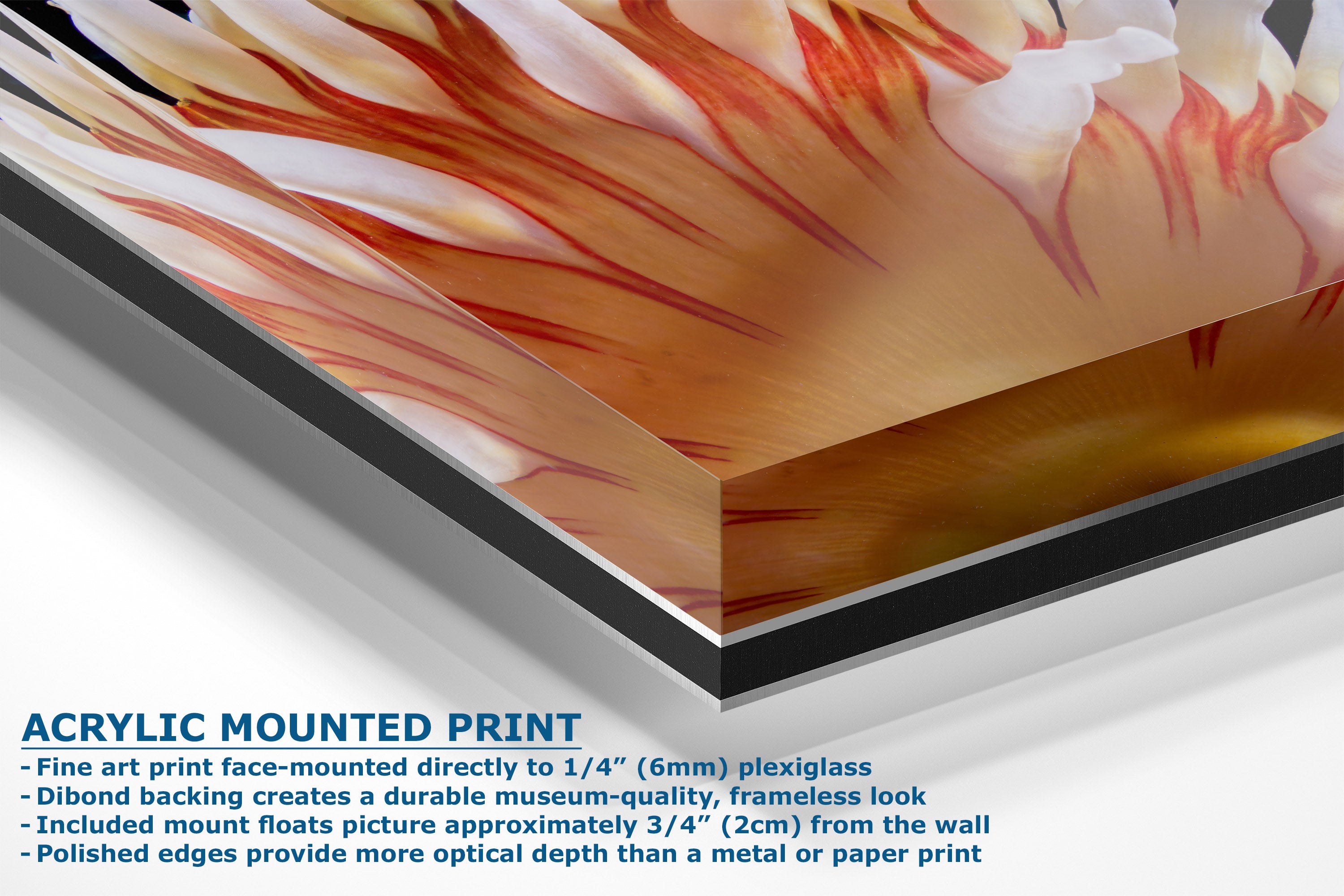 Acrylic mounted art print featuring an abstract design, shown at an angle with descriptive text overlays detailing the mounting features.