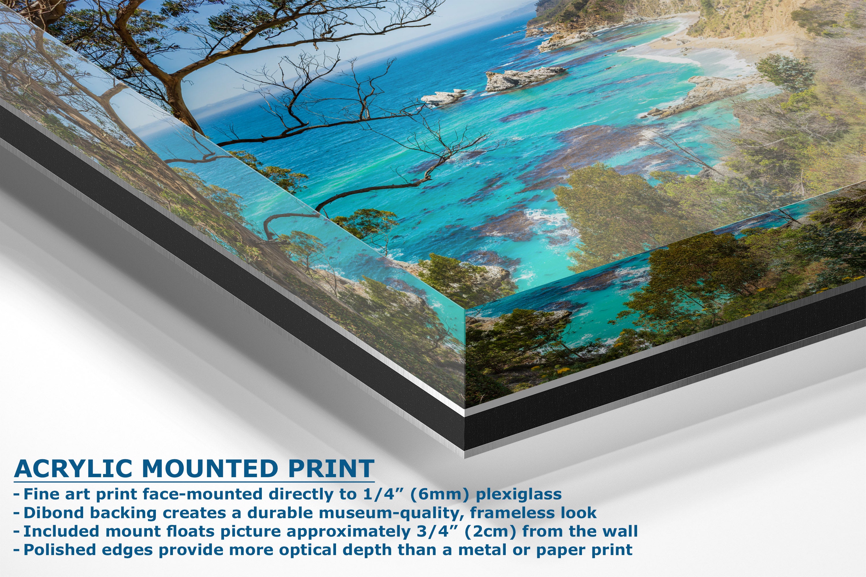 A corner view of an acrylic mounted ocean print of a coastal landscape with turquoise water, rocky cliffs, and bare trees, shown at an angle with product features and dimensions listed on a white background.