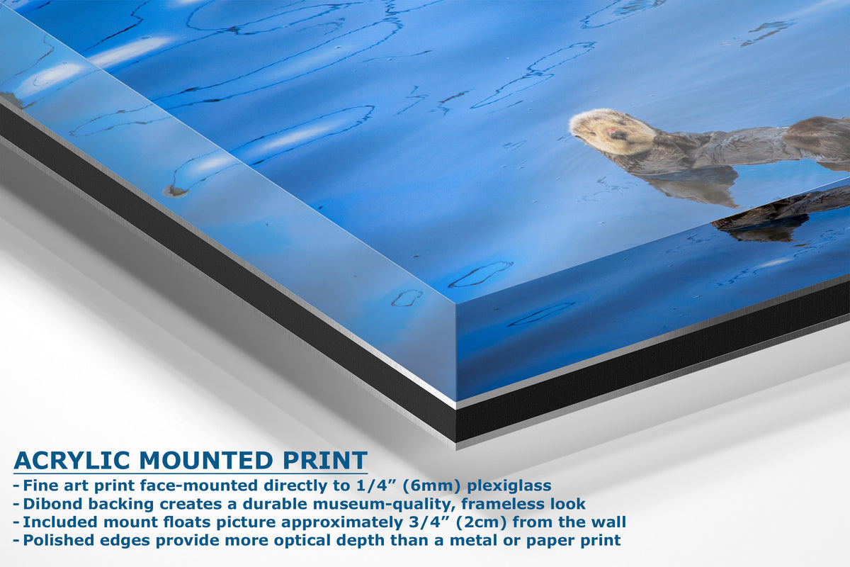 Acrylic-mounted art print showing a blue-toned scene photographed at an angle with descriptive text on a white background.