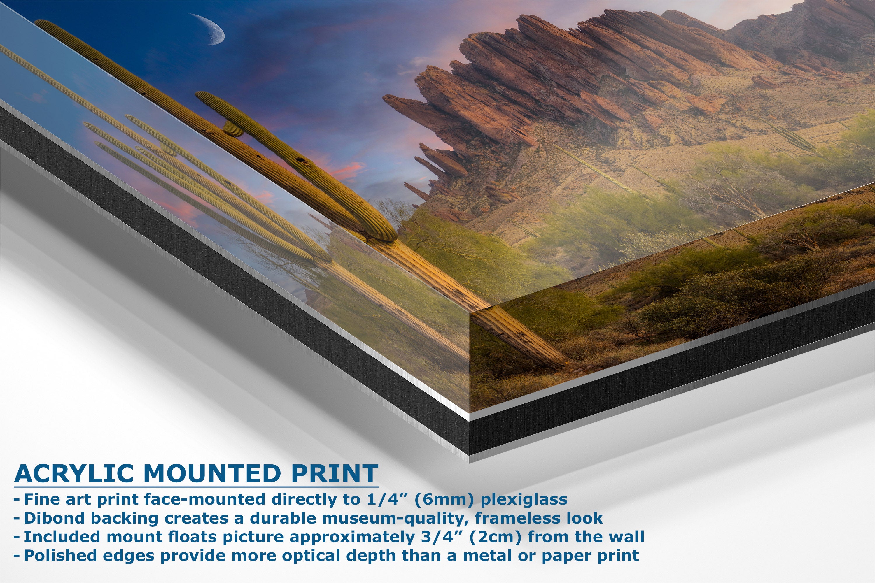 Acrylic mounted art print showing a desert canyon landscape with cacti, mounted on a white background with descriptive text detailing the 1/4 inch acrylic plexiglass and frameless look.