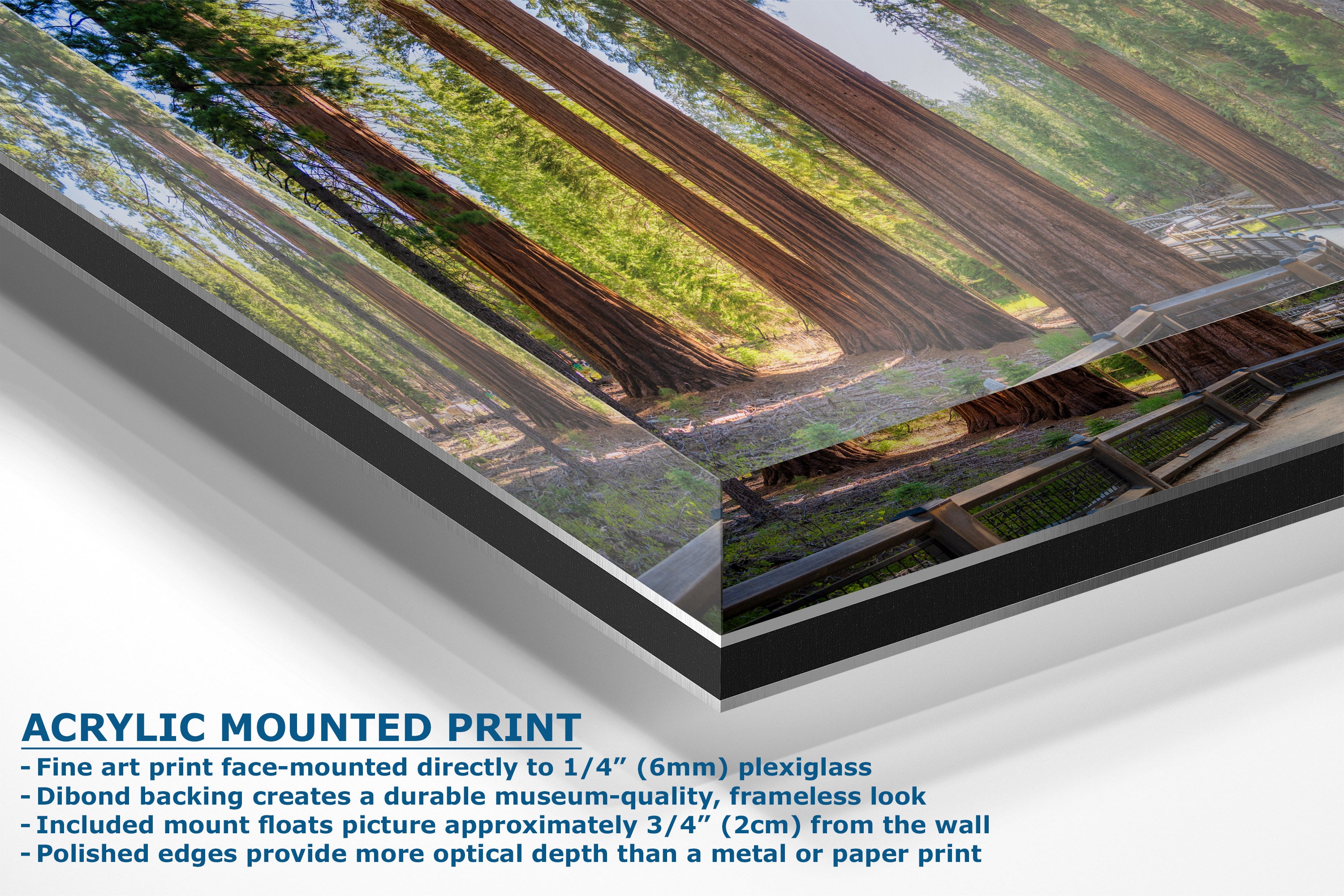 Acrylic mounted art print of a forest scene with trees and a wooden bridge, shown at an angle with descriptive text on a white background.