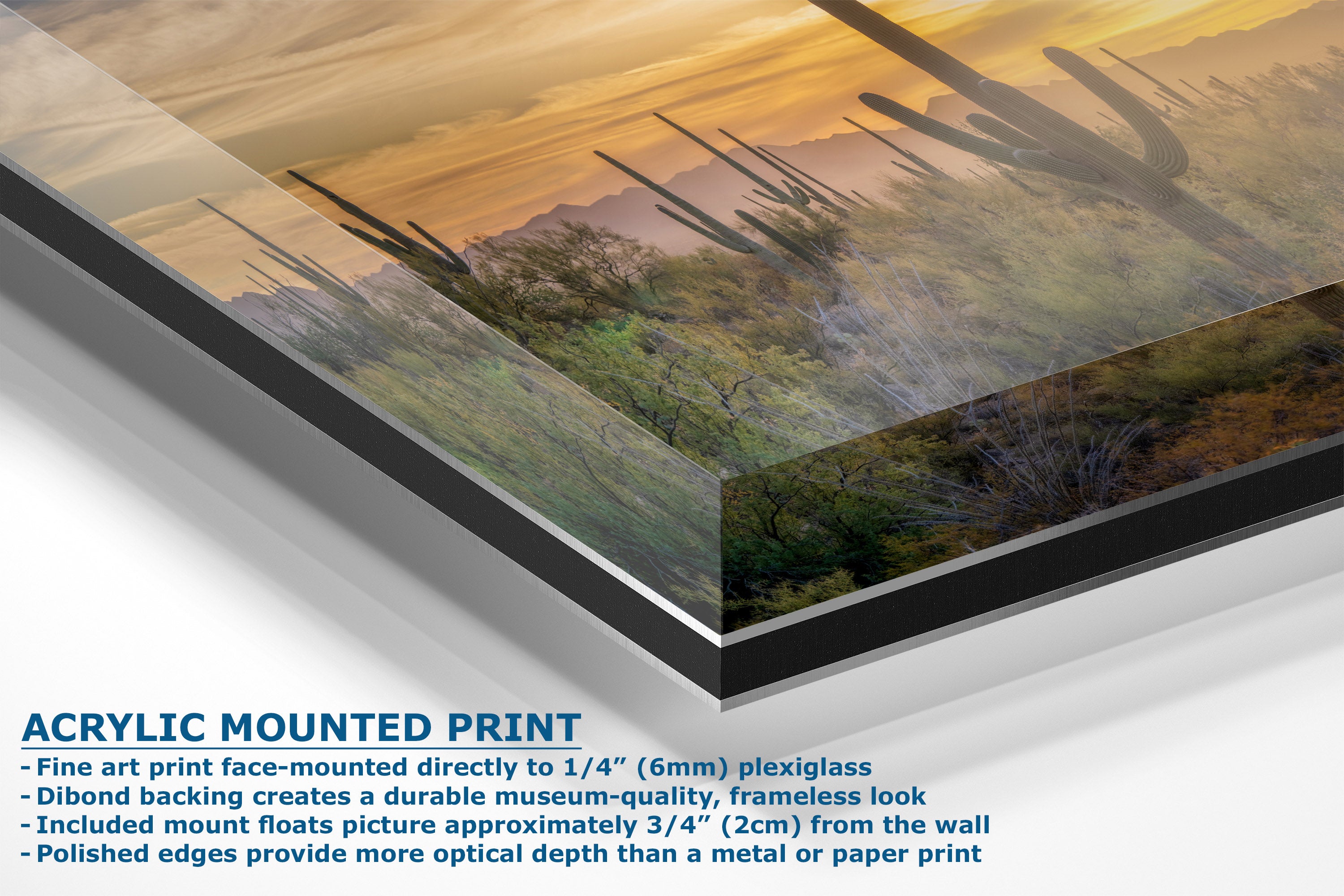 Acrylic mounted art print of a desert landscape with saguaro cacti under a warm sunset sky, shown at an angle with descriptive text overlay on a white background.