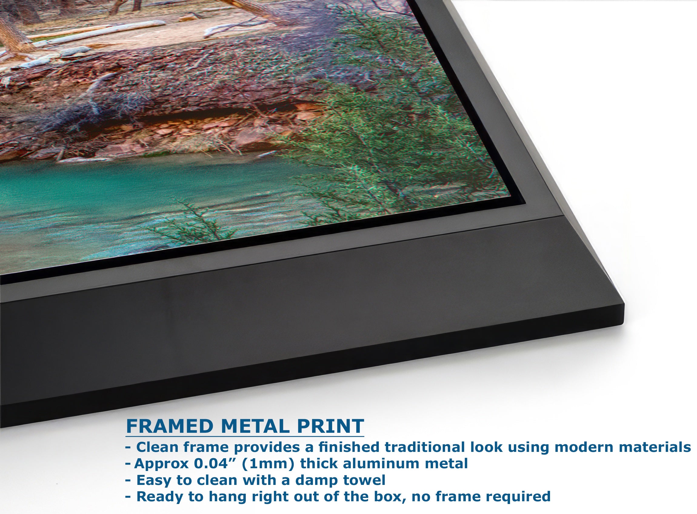 Zion National Park Southern Utah Desert Picture, Southwestern Wall Art, Relaxation Artwork Nature Photo for House Decor