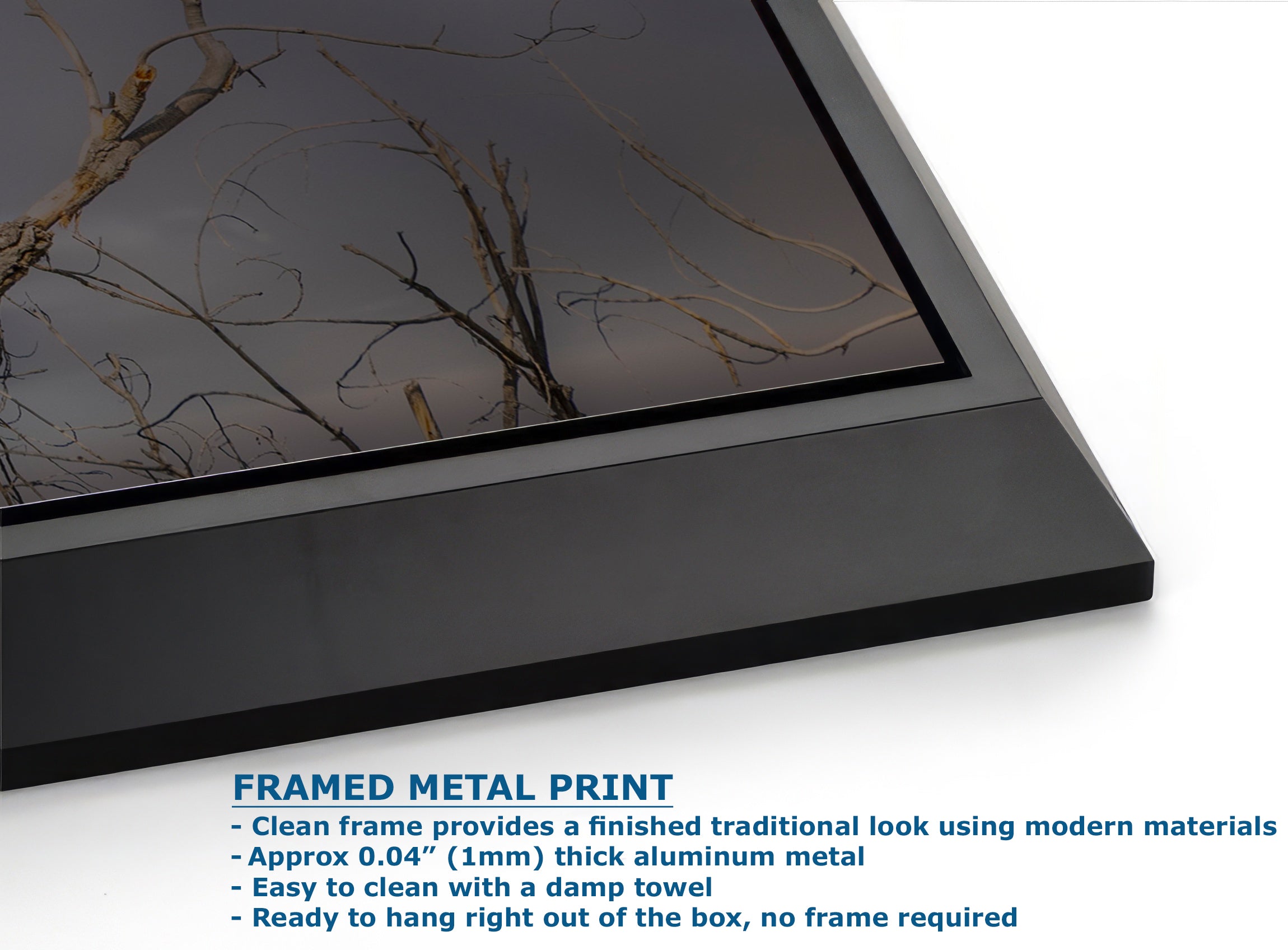 Soaring Bald Eagle Picture Wildlife Photography Wall Art, Nature Photo, Bird Photography, Rustic Cabin Decor, Office or Dorm Room Wall Decor