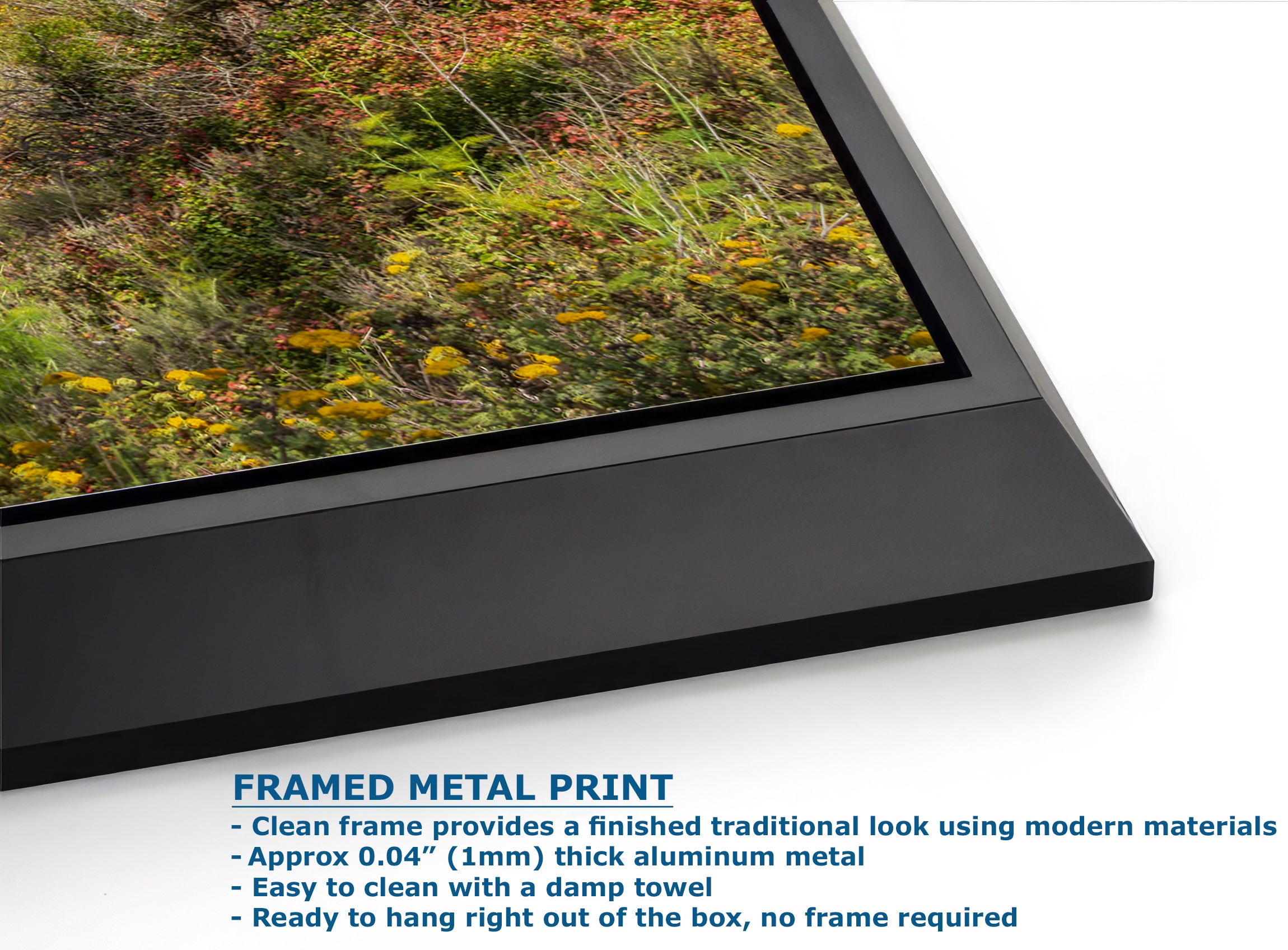 California Coastline Limited Edition Fine Art Print – Big Sur Ocean Picture Nature Photo