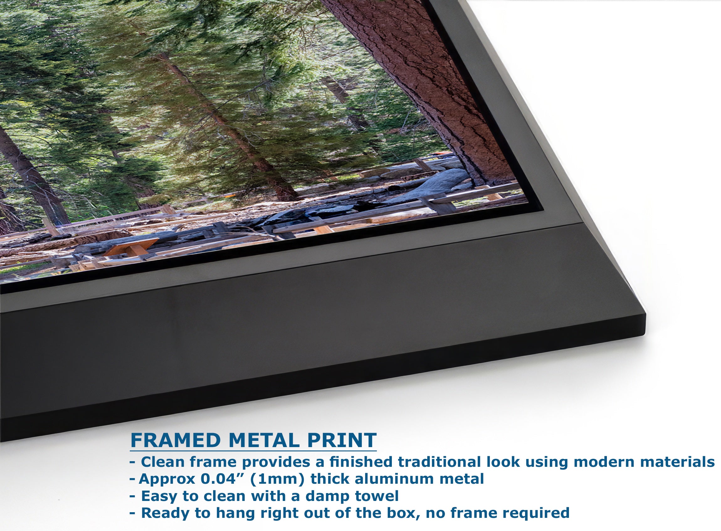 Giant Sequoia Tree Forest Picture Nature Photo, Yosemite Redwood Trees, Mariposa Grove Tree Hugger Decor, Forest Bathing for Relaxation