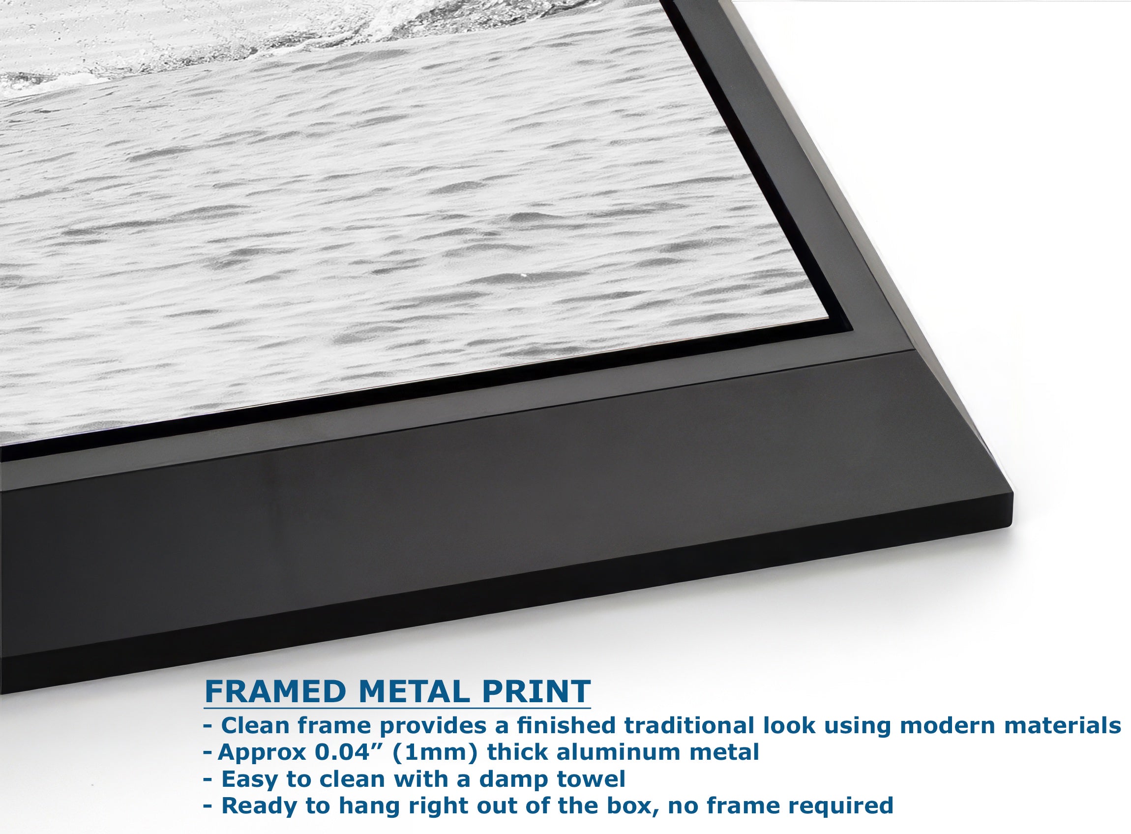 Humpback Whale Marine Mammal Wildlife Photography, Black and White, Monterey Bay Ocean Scene Art Print for Nature Lovers and Marine Conservation Decor