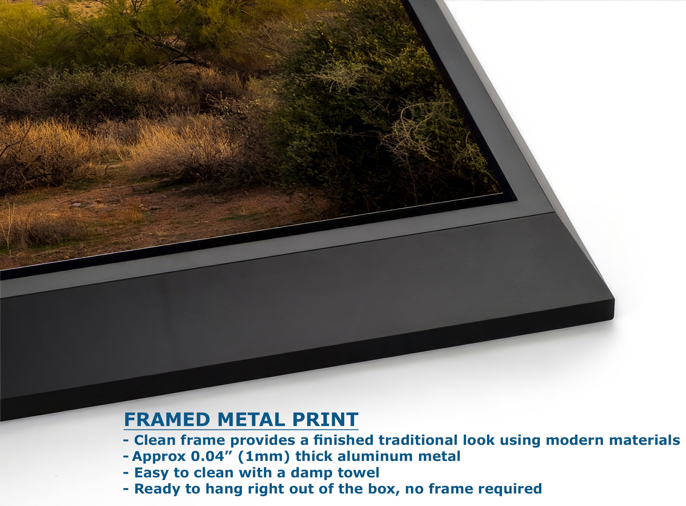 Arizona Desert Picture Sunset, Saguaro Cactus Artwork Nature Photo, Southwestern Wall Art of Superstition Mountains at Lost Dutchman State Park