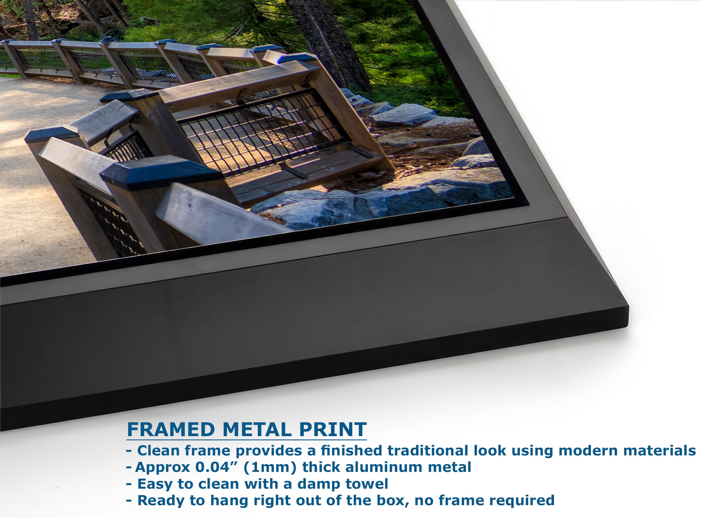 Giant Sequoia Tree Forest Picture Nature Photo | Yosemite Redwood Trees for Nature Lovers & Forest Bathing Relaxation, Meditation Artwork