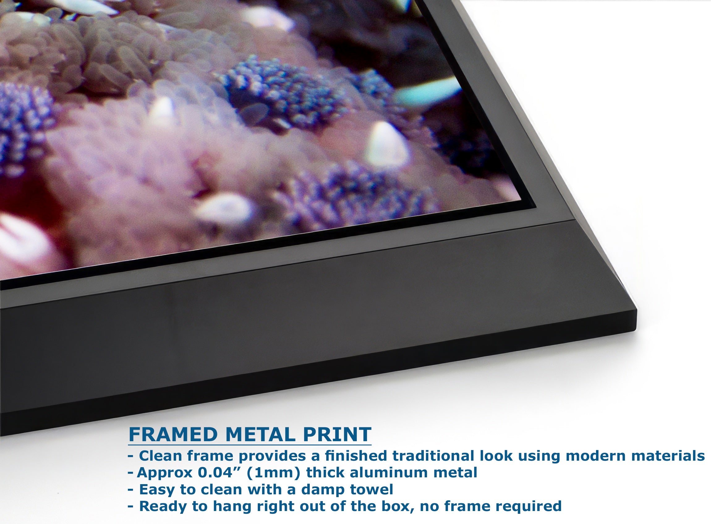 Ocean Life Starfish Photo, Marine Biology Underwater Scenery, Vibrant Coral Reef, Nature Photography for Office Decor, Relaxation Artwork