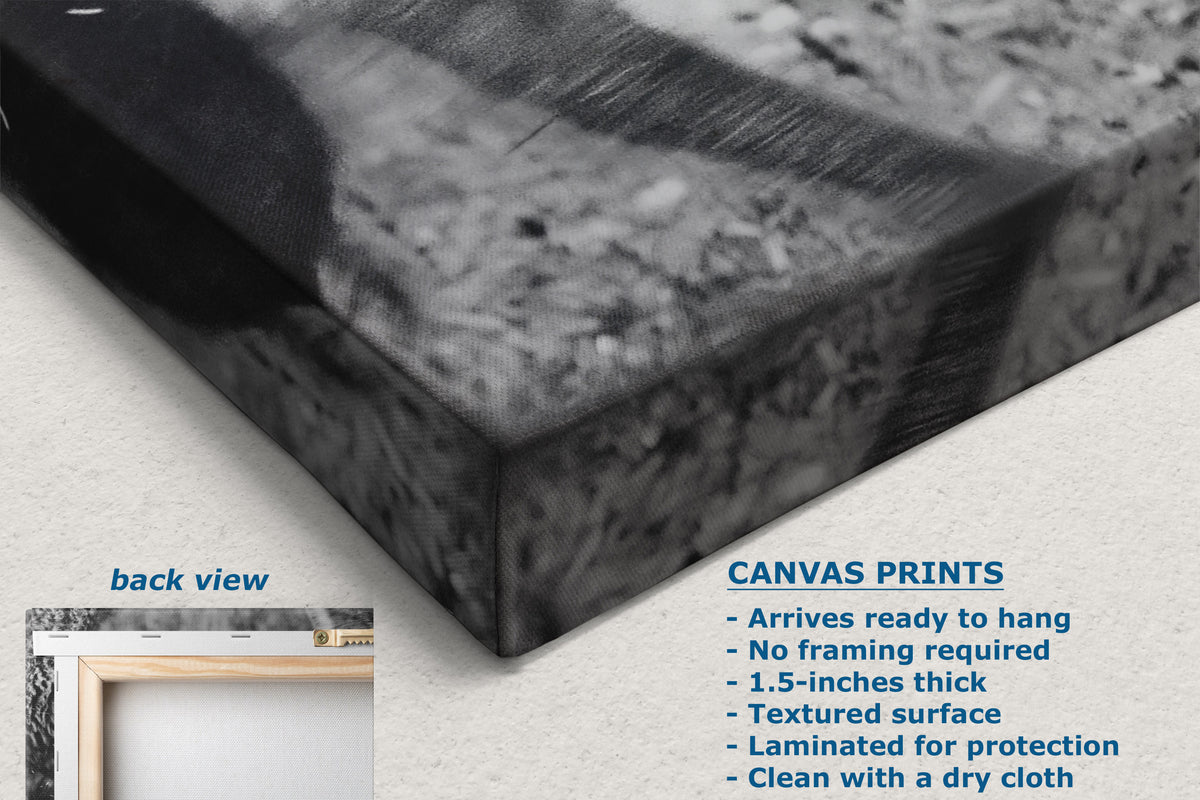 A black and white canvas wall art print shown at an angle with a textured surface, alongside informational text about the product and a small inset labeled back view.