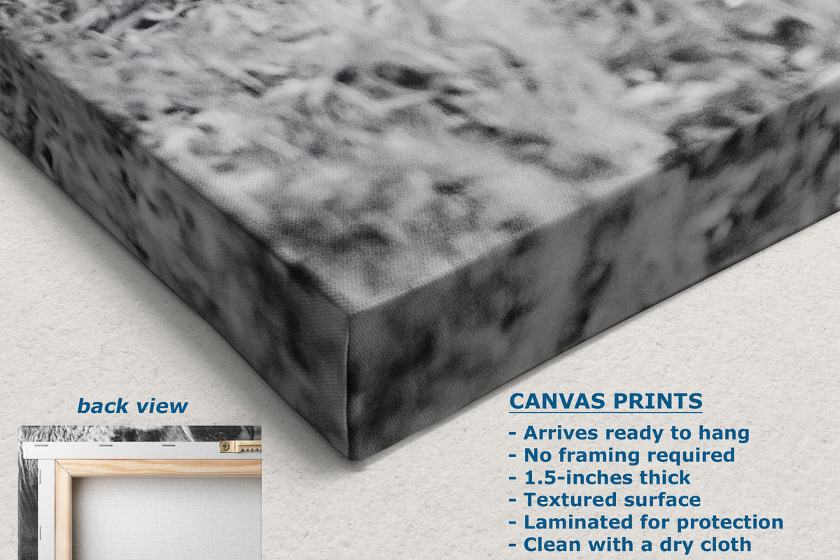 A close-up of a canvas print showing its textured, mottled black and white surface. The image includes text overlays describing the canvas print features ('CANVAS PRINTS') and a small inset showing the back view with a frame.