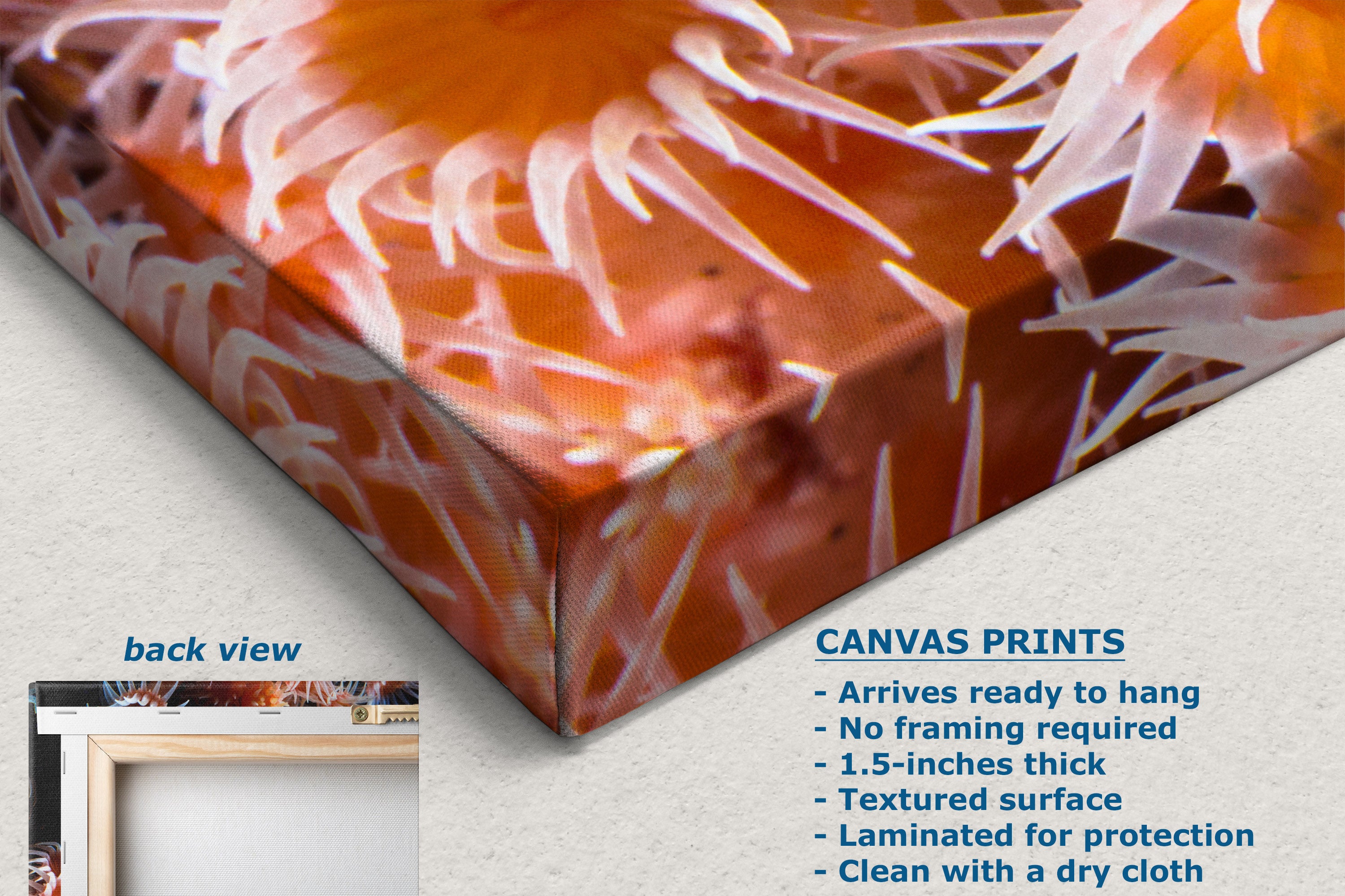 A close-up of a canvas print showing an orange and white anemone pattern, with text describing the product features and a small inset labeled back view.