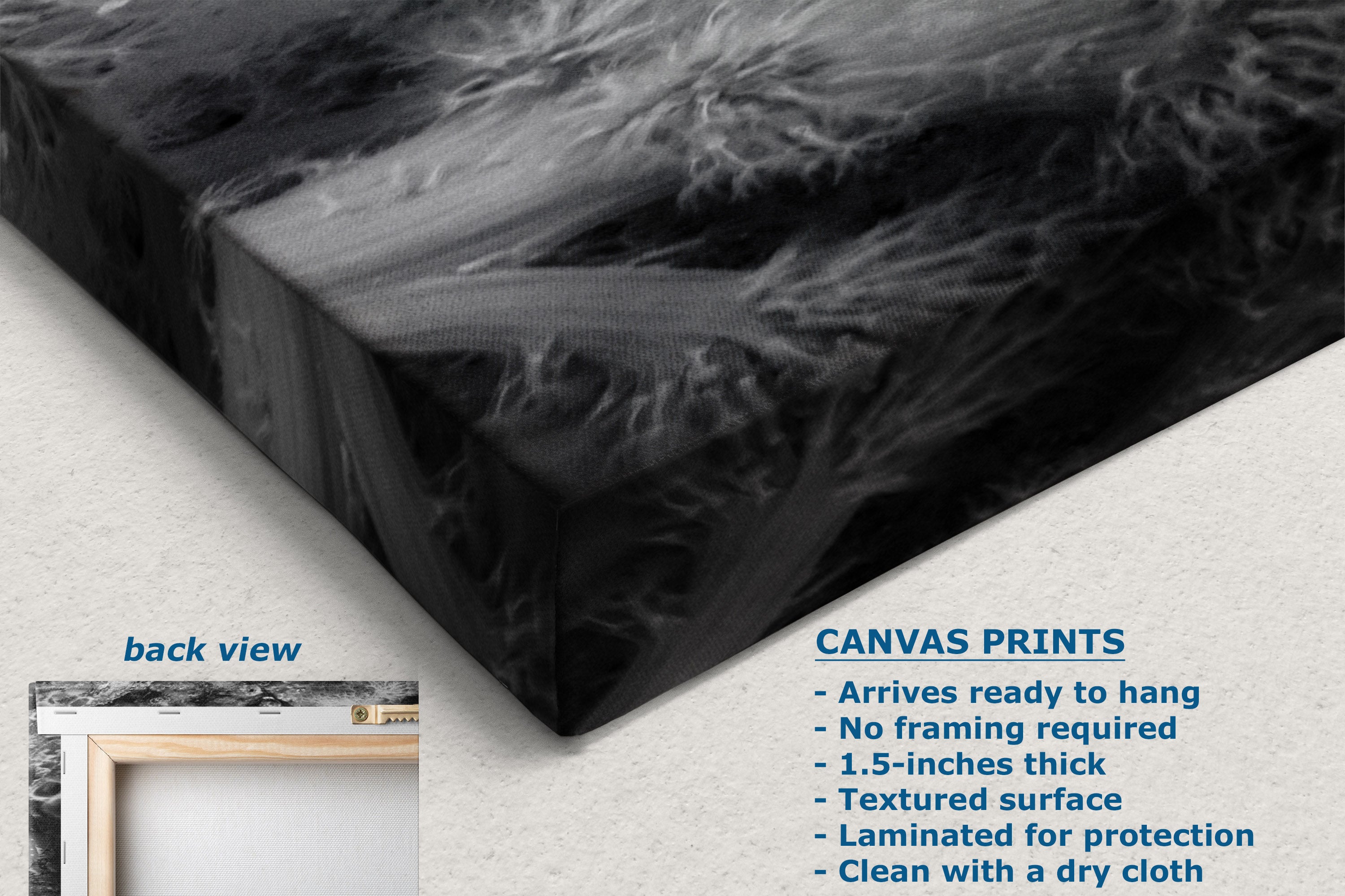 Black and gray textured canvas wall art shown at an angle with a small inset labeled back view and text describing canvas print features.