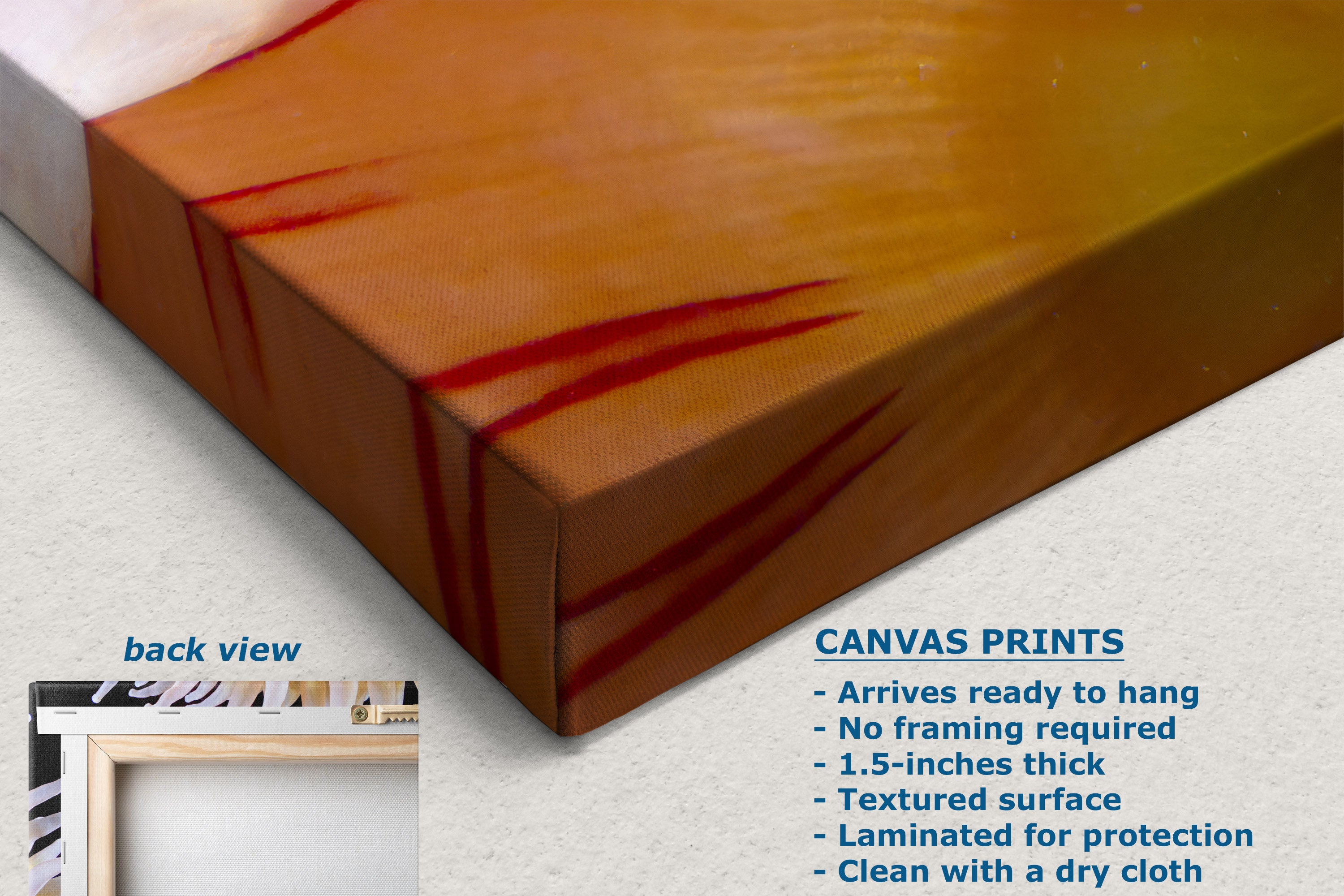 A close-up of a canvas print showing the textured orange-brown artwork with red streaks, alongside text describing the canvas print features and a small inset showing the back view.