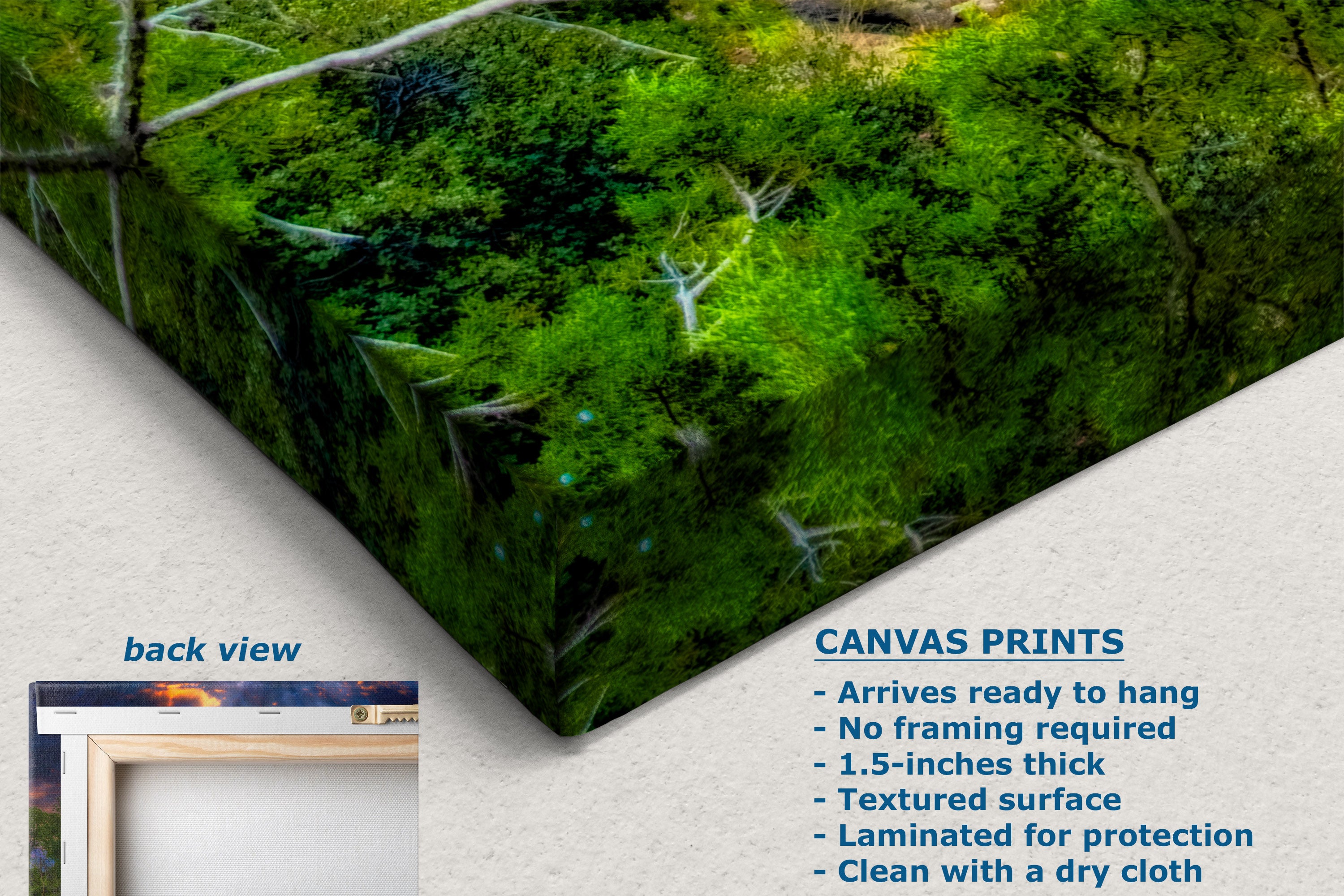 A canvas wall print shown at an angle on a light wall, displaying a lush green forest scene with trees and moss. Text on the image describes the print features, including a back view inset and product details like thickness and mounting readiness.