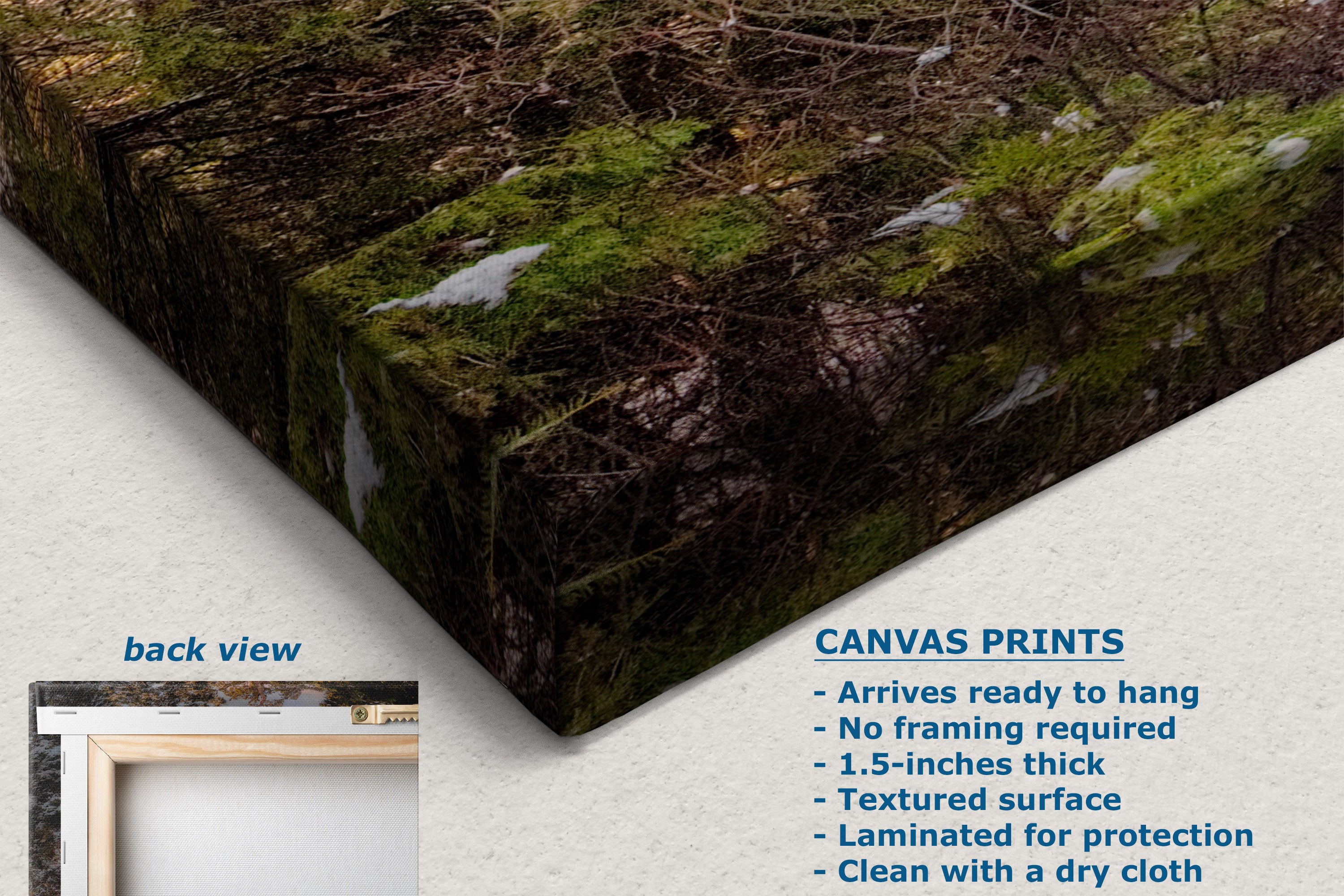 Canvas wall art print showing a mossy forest floor corner, displayed at an angle with a text callout listing features and a small inset labeled back view.