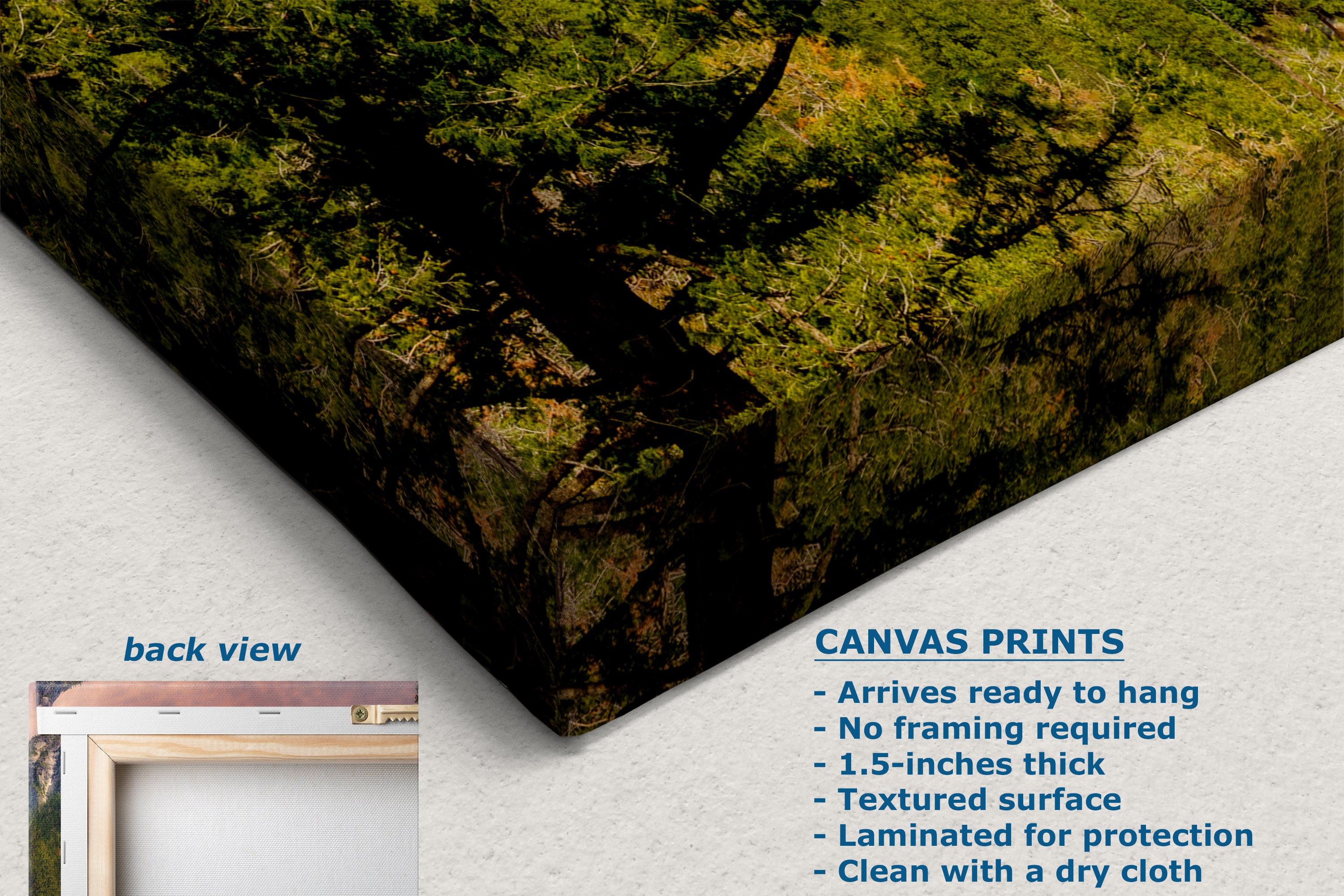 A canvas print product shown at an angle on a white background, with a small inset labeled back view and text describing canvas print features. The visible product surface depicts a forest landscape in green, brown, and black tones.