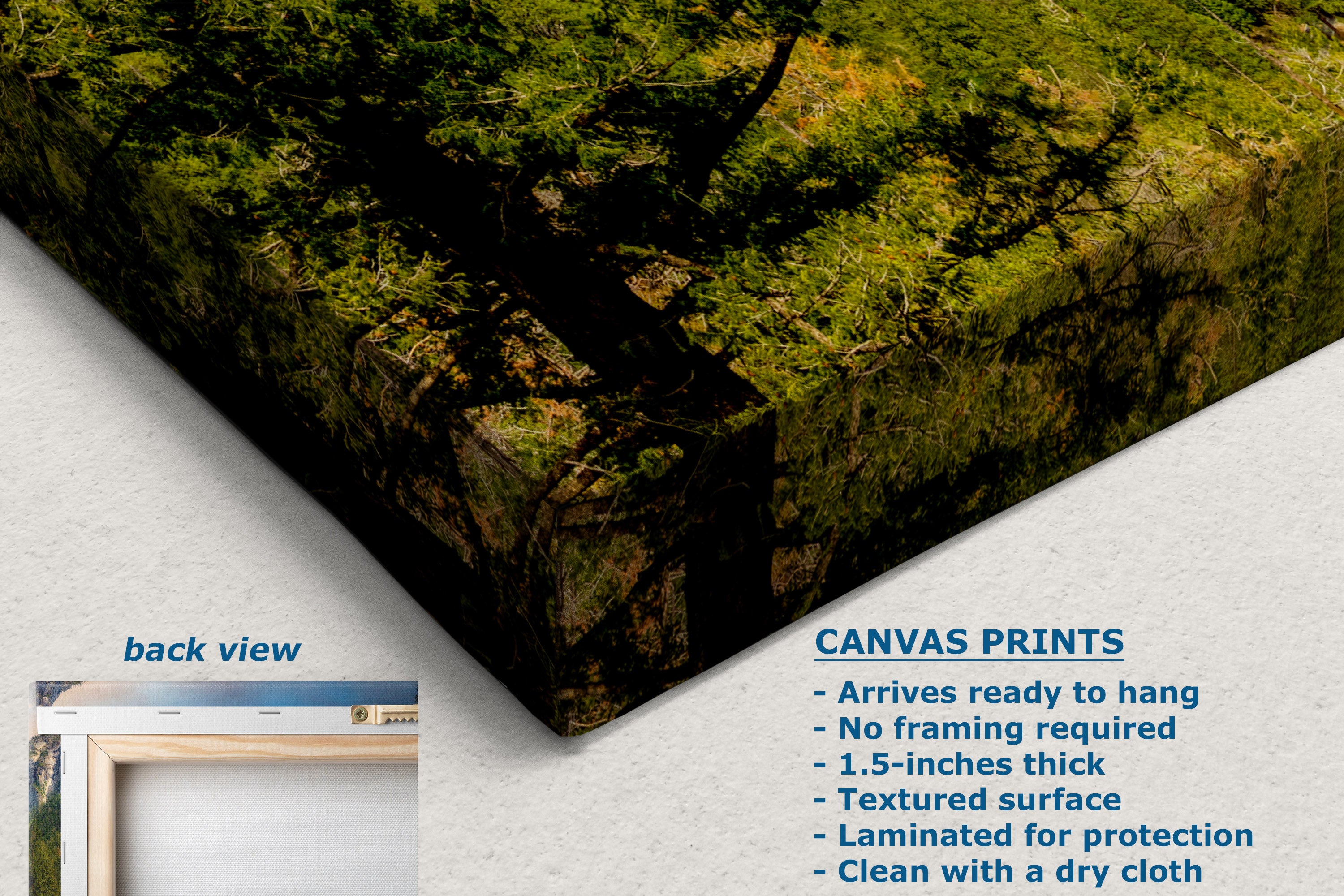 Canvas wall art print shown at an angle on a white background, with text describing product features and a small inset labeled back view. The print depicts a forest scene with green trees and brown earth.