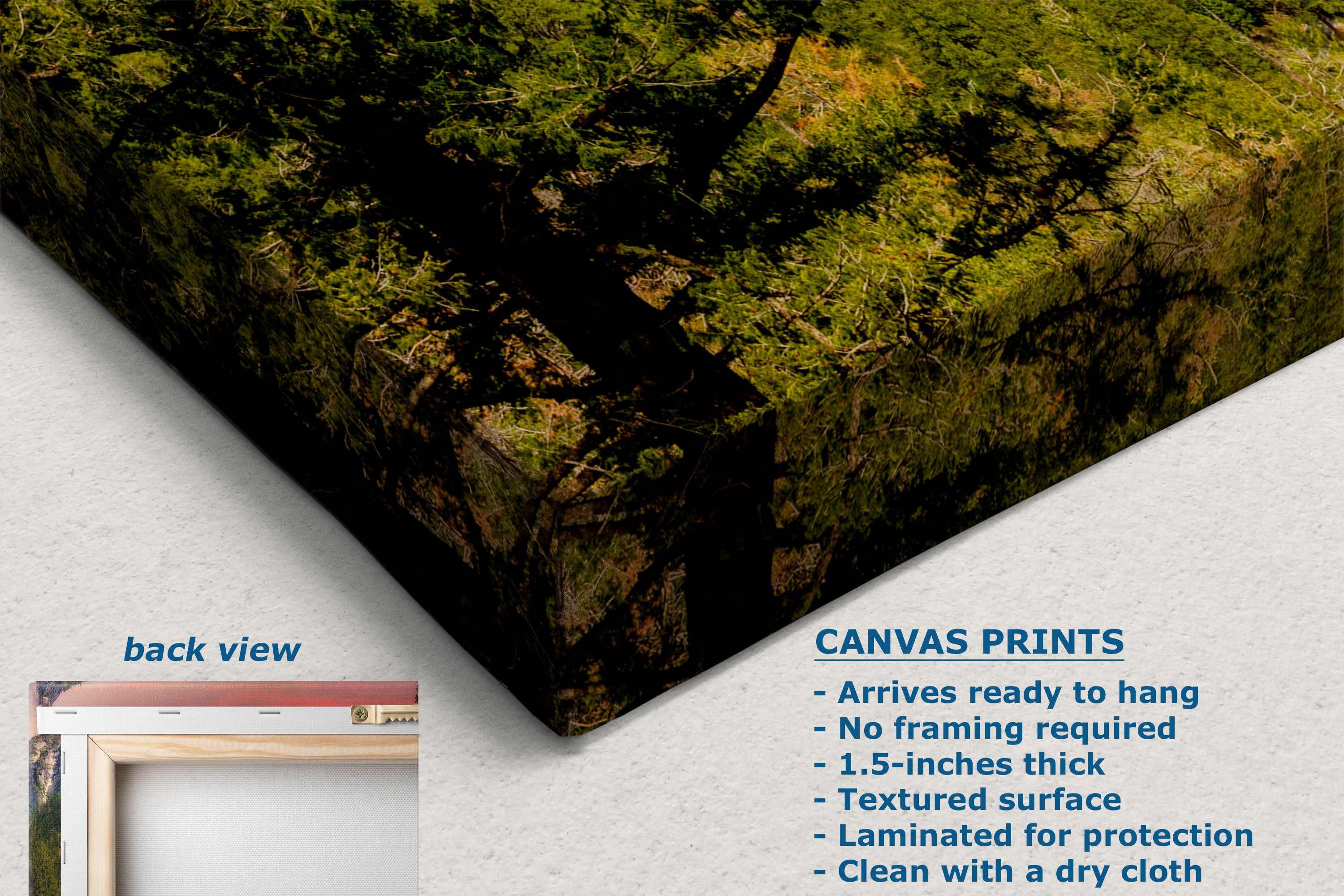 A canvas print product shown at an angle on a white background, with a small inset labeled back view and text describing canvas print features. The visible product surface depicts a forest landscape in green, brown, and black tones.