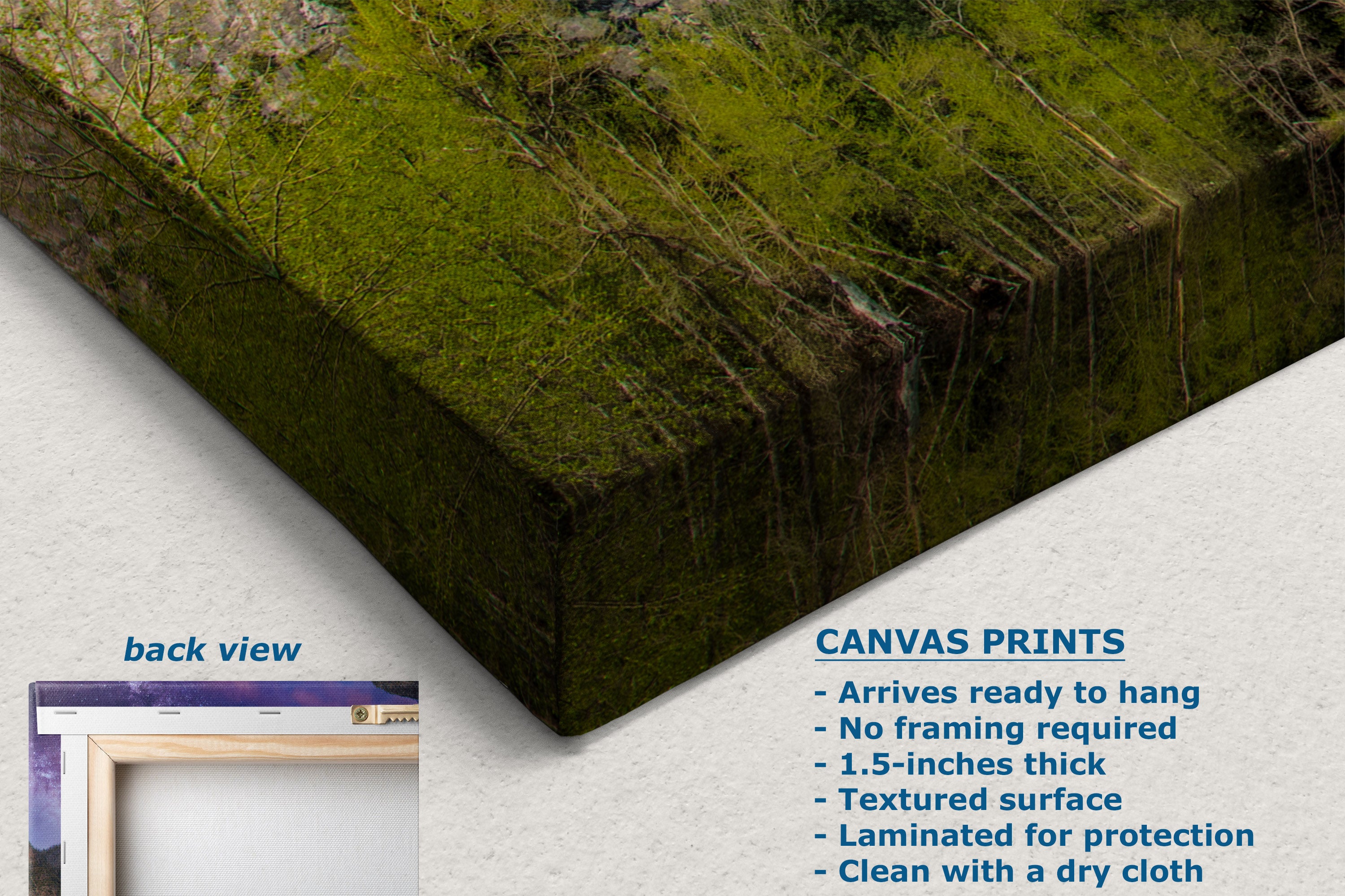 A canvas print showing a mossy green forest floor with tree roots, displayed at an angle on a white textured background with product details and a small back view inset.