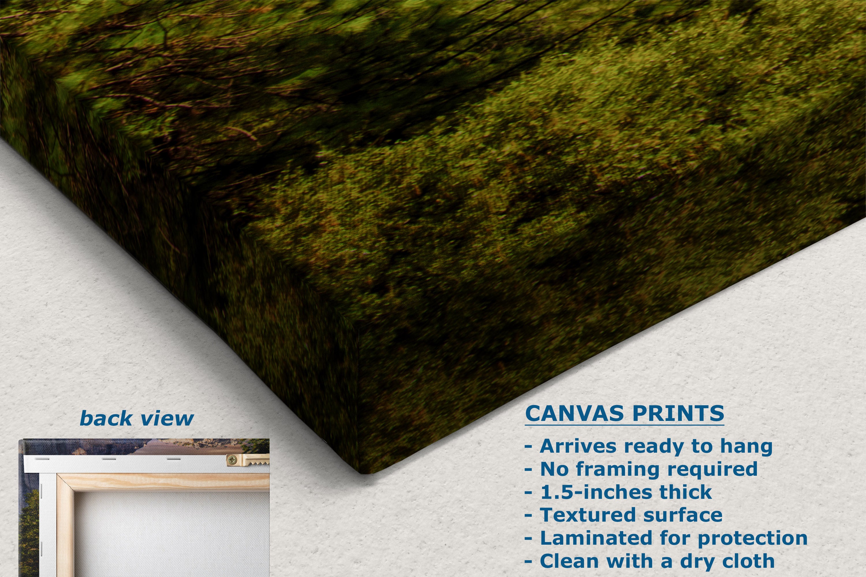 A canvas wall art print showing a mossy green forest floor texture, displayed at an angle with a small inset labeled 'back view' and product text on a light gray background.