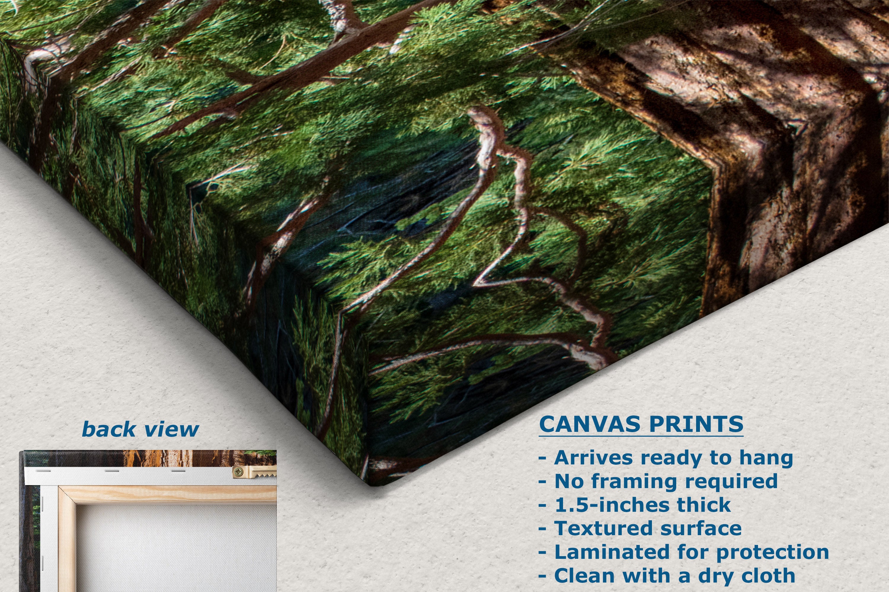 Canvas wall art print shown at an angle with a forest tree-bark and green foliage pattern. The image includes a small inset labeled 'back view' and text describing canvas print features and dimensions.