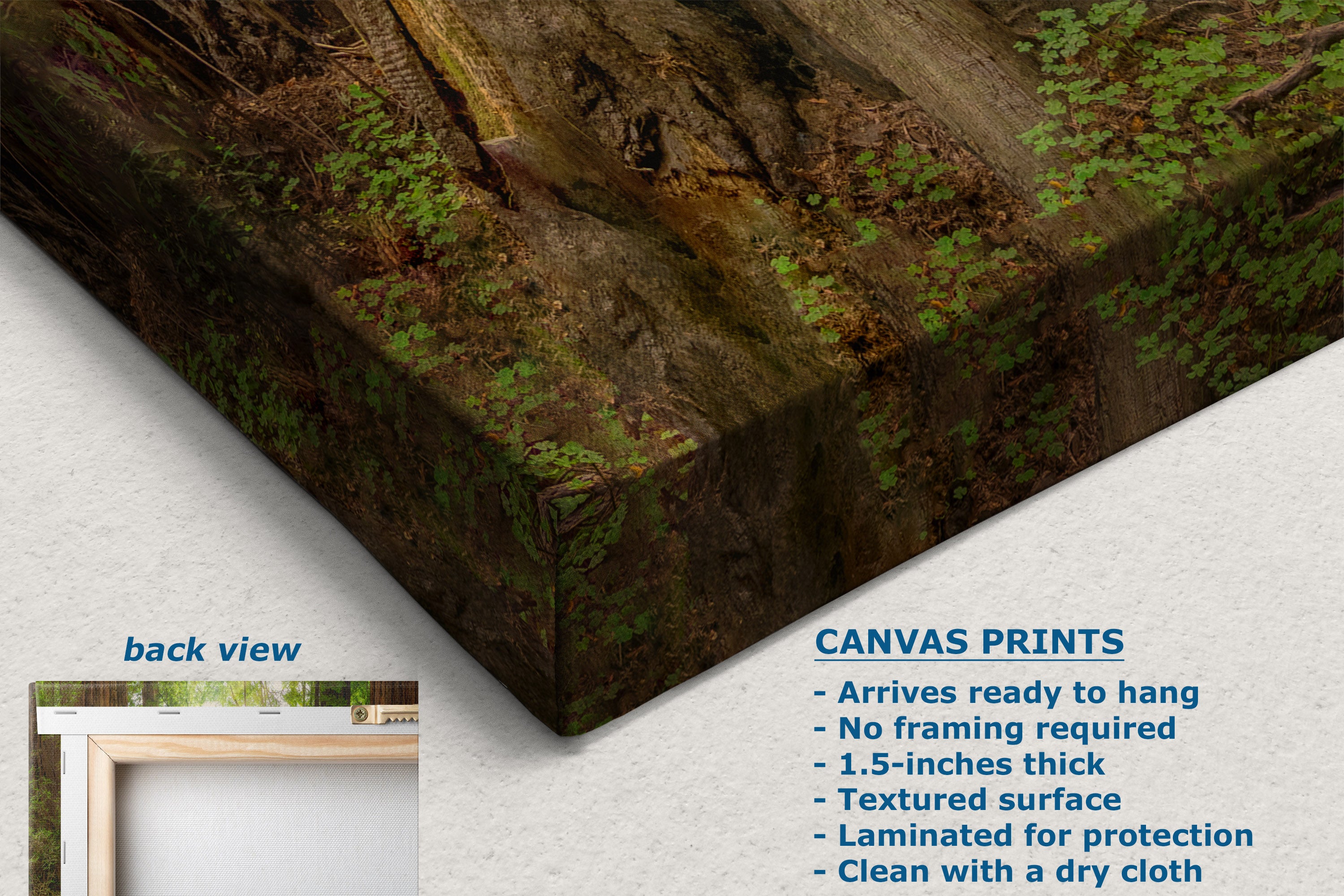 A canvas wall art print showing a forest floor or tree trunk with green moss and ferns, displayed at an angle on a white background. Text on the image includes 'back view', product features for canvas prints, and a small inset labeled 'back view' showing the canvas edge and frame area.