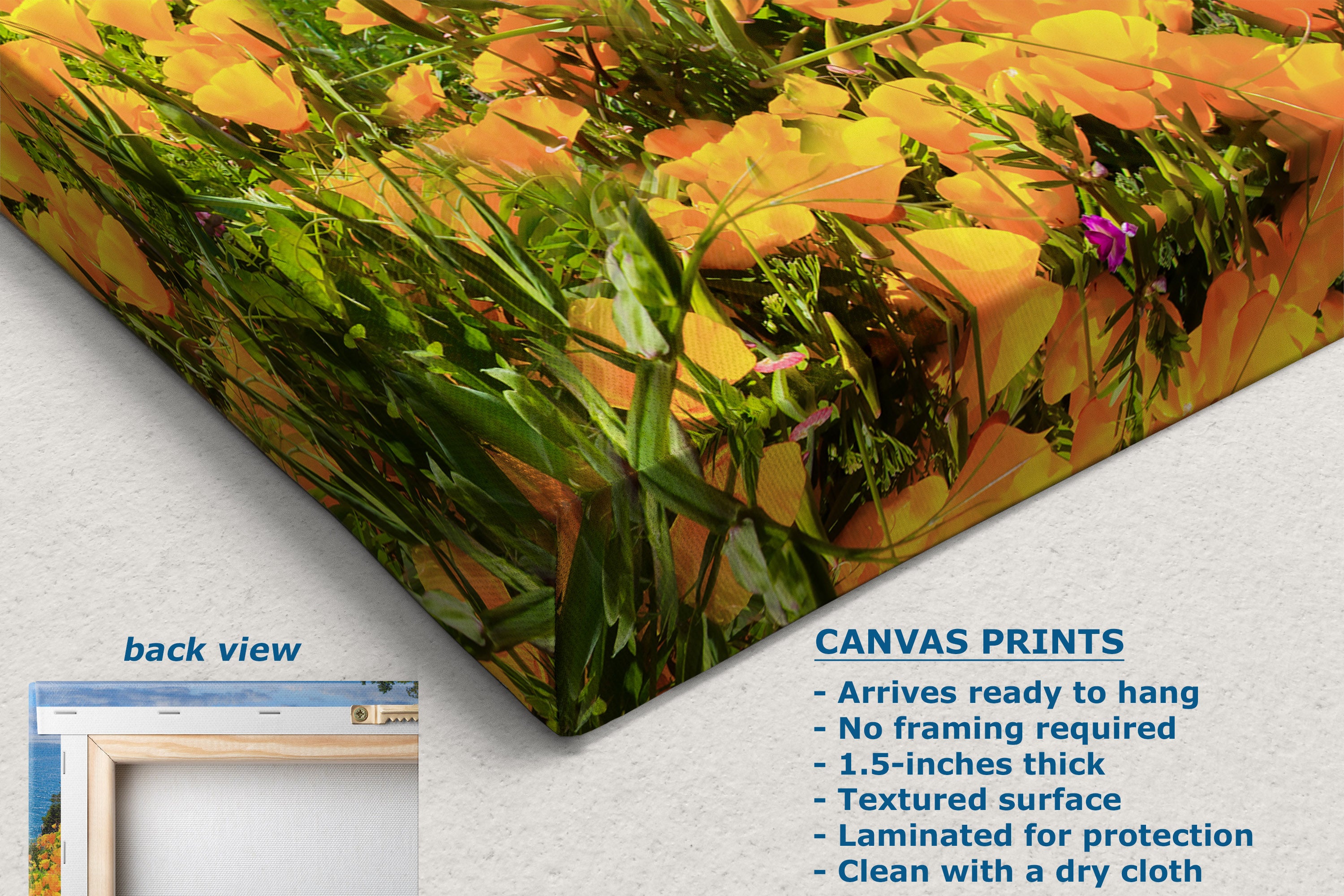 A canvas print product mockup showing a close-up of the printed side with a colorful floral and grass pattern, plus a small inset labeled back view and text listing features for canvas prints on a light background.