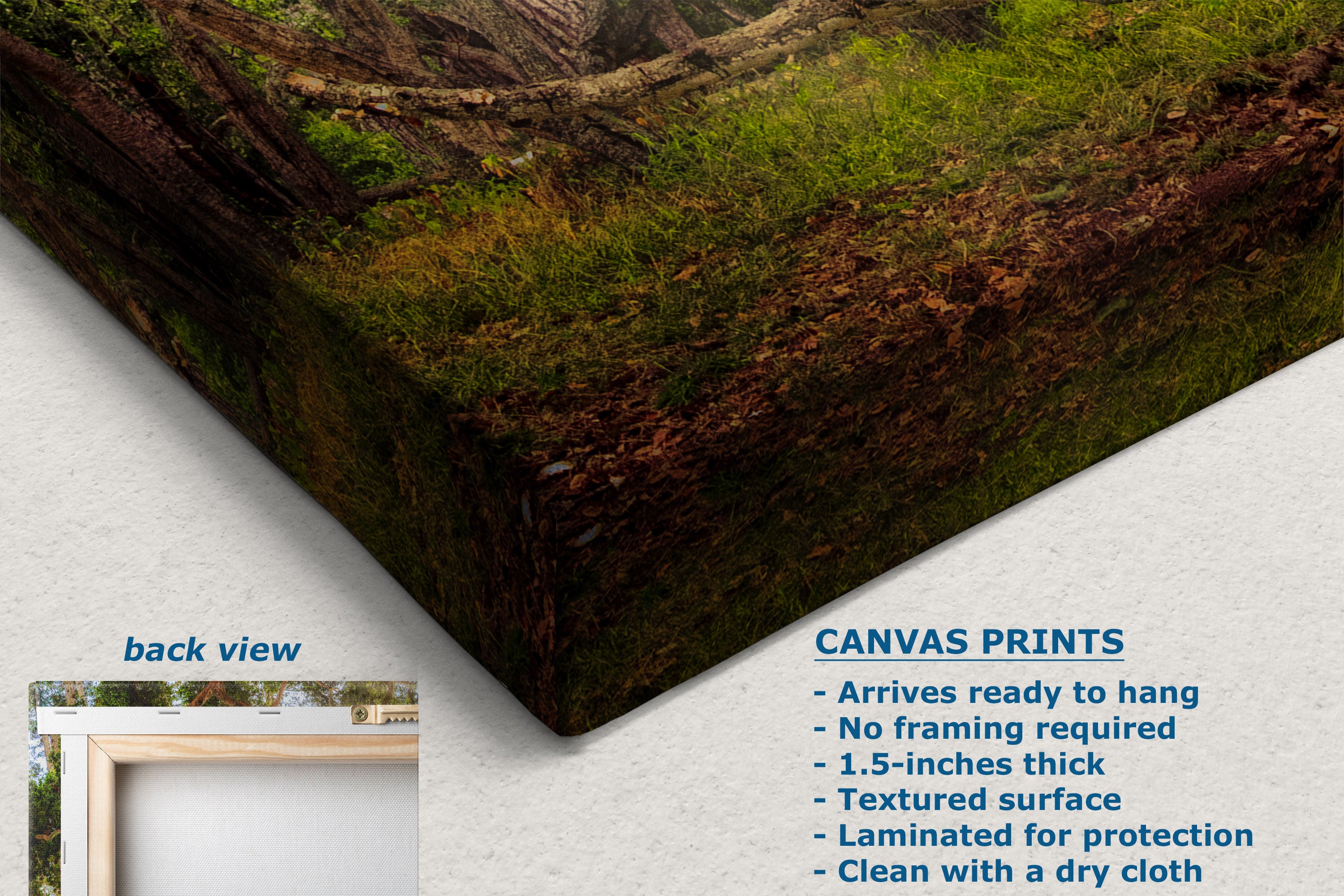 Canvas wall art print shown at an angle with a forest floor scene featuring green moss, brown logs, and grass. Text on the image includes 'back view' and product details for canvas prints, on a white background.