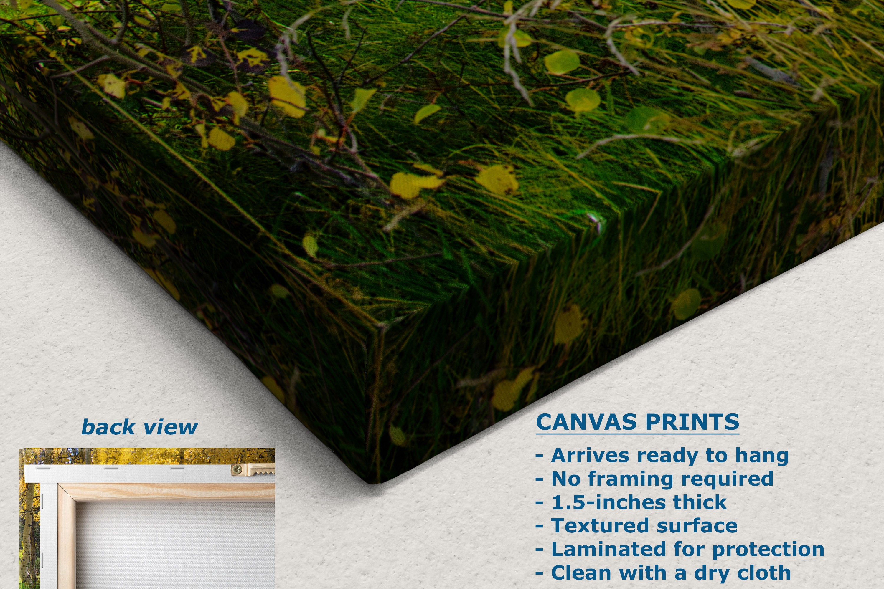 A canvas wall art print showing a forest scene with green grass, brown branches, and yellow leaves, displayed at an angle on a white wall. Text on the image describes the product features, including a back view inset and specifications for canvas prints.