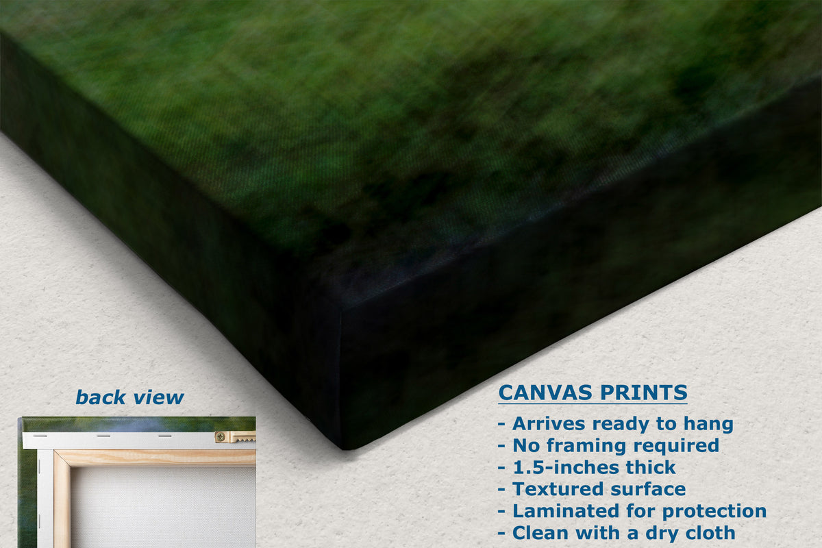A canvas wall art print shown at an angle, displaying a dark green and black textured landscape design. The image includes a 'back view' inset showing a framed print, and a text overlay detailing product features such as 'Canvas Prints' and 'back view'.