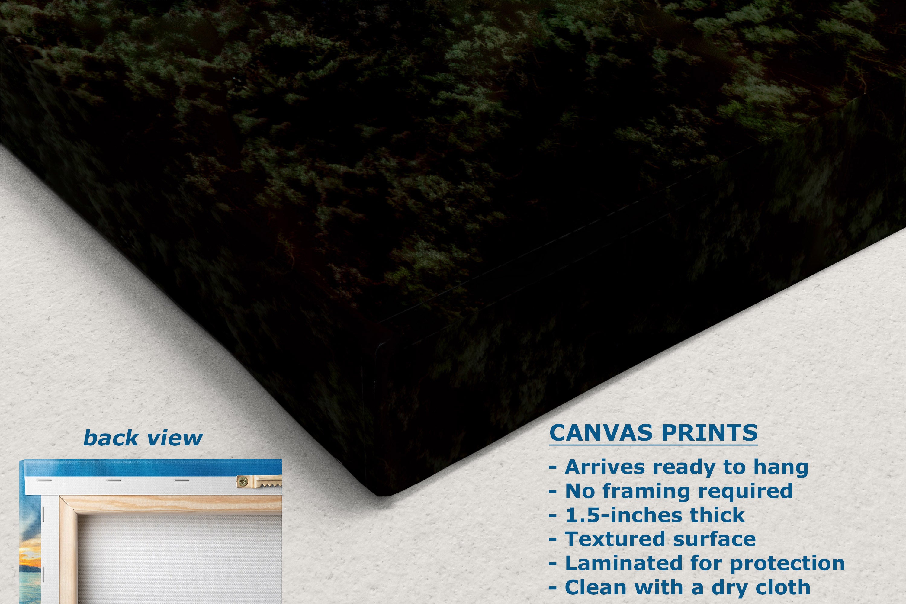 A large canvas print shown at an angle on a light textured background, with a small inset labeled 'back view' and text describing canvas print features. The visible artwork is a very dark forest scene with green and black tones.