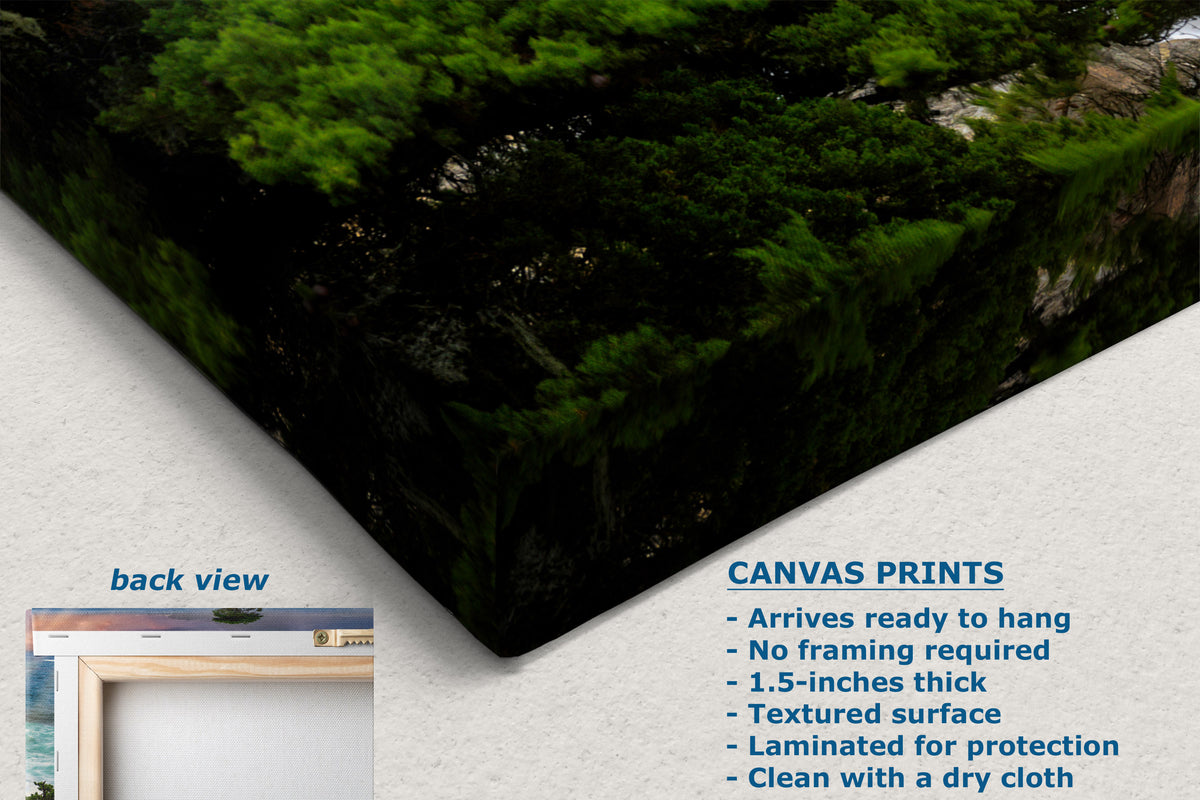 A canvas print product mockup showing a forest scene corner with text callouts on a white background. The text reads 'CANVAS PRINTS' and includes features like ready-to-hang and no framing required.