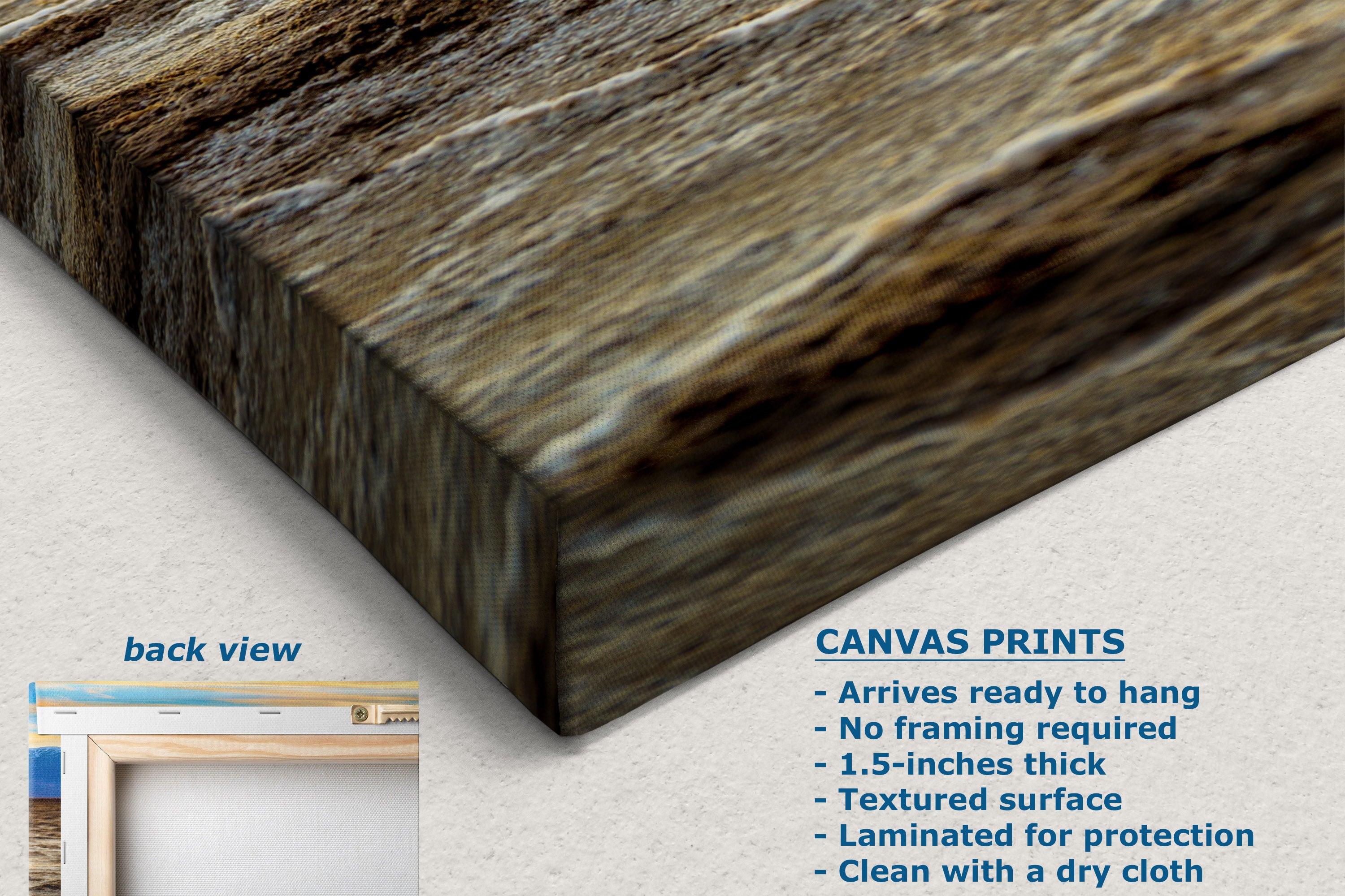 A close-up of a textured canvas print showing a wood-grain pattern, with a small inset labeled 'back view' at lower left and product feature text at lower right on a light neutral background.