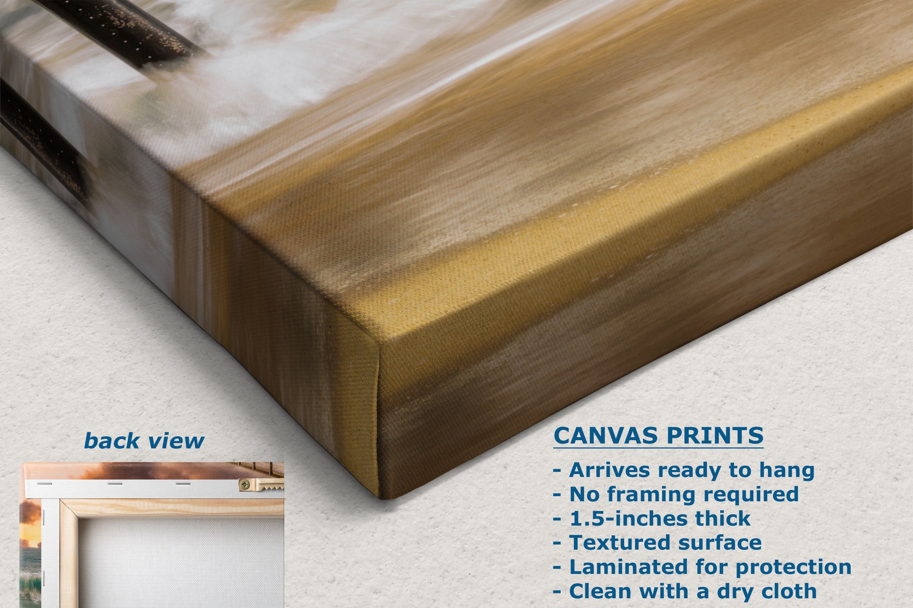 A canvas wall art print shown at an angle with a textured gold and beige surface, plus text callouts describing the back view and product features for canvas prints.