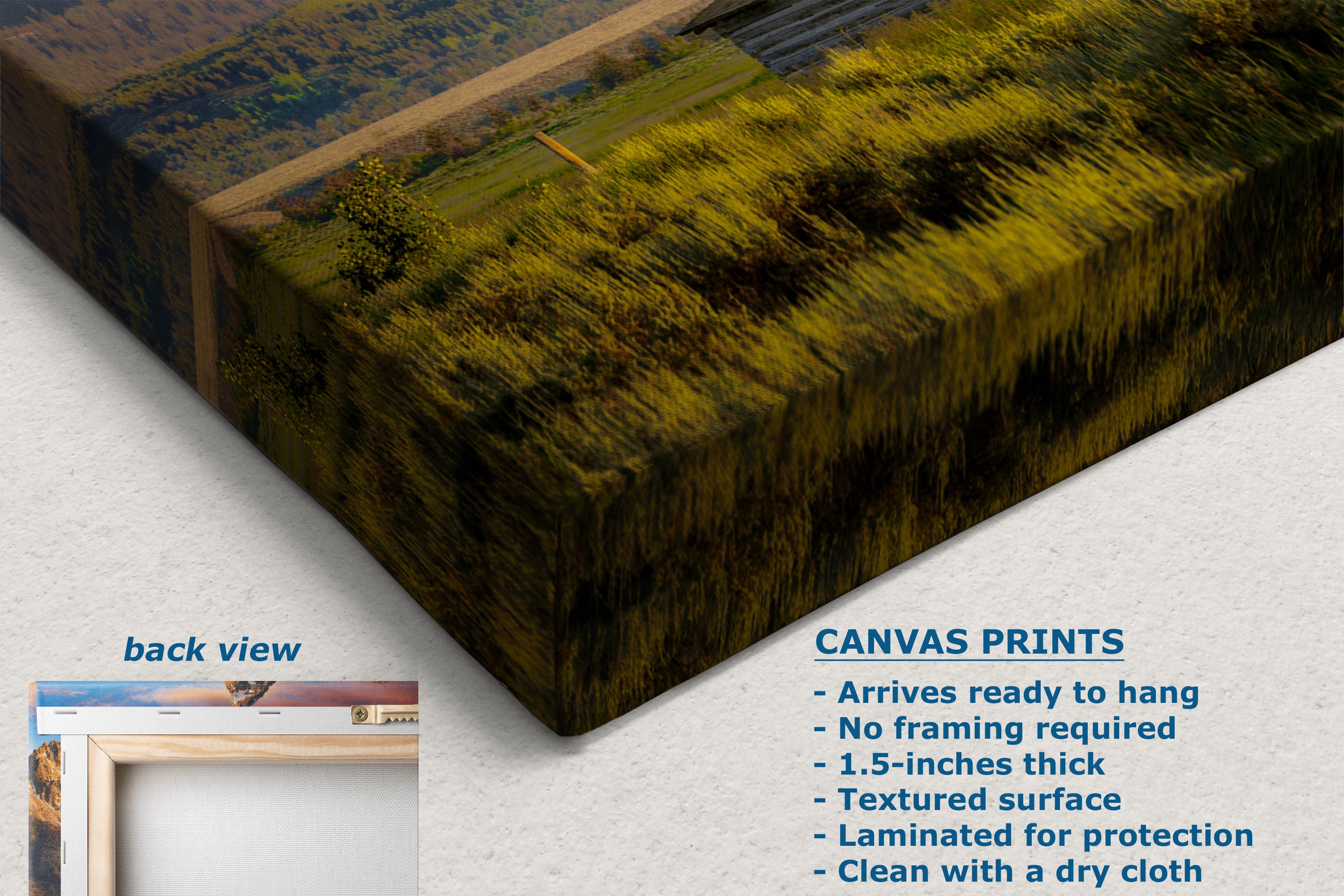 Canvas wall art print shown at an angle on a light textured background, with a small inset labeled back view and product text describing canvas print features. The artwork depicts a moorland landscape with green-yellow heather and brown earth.