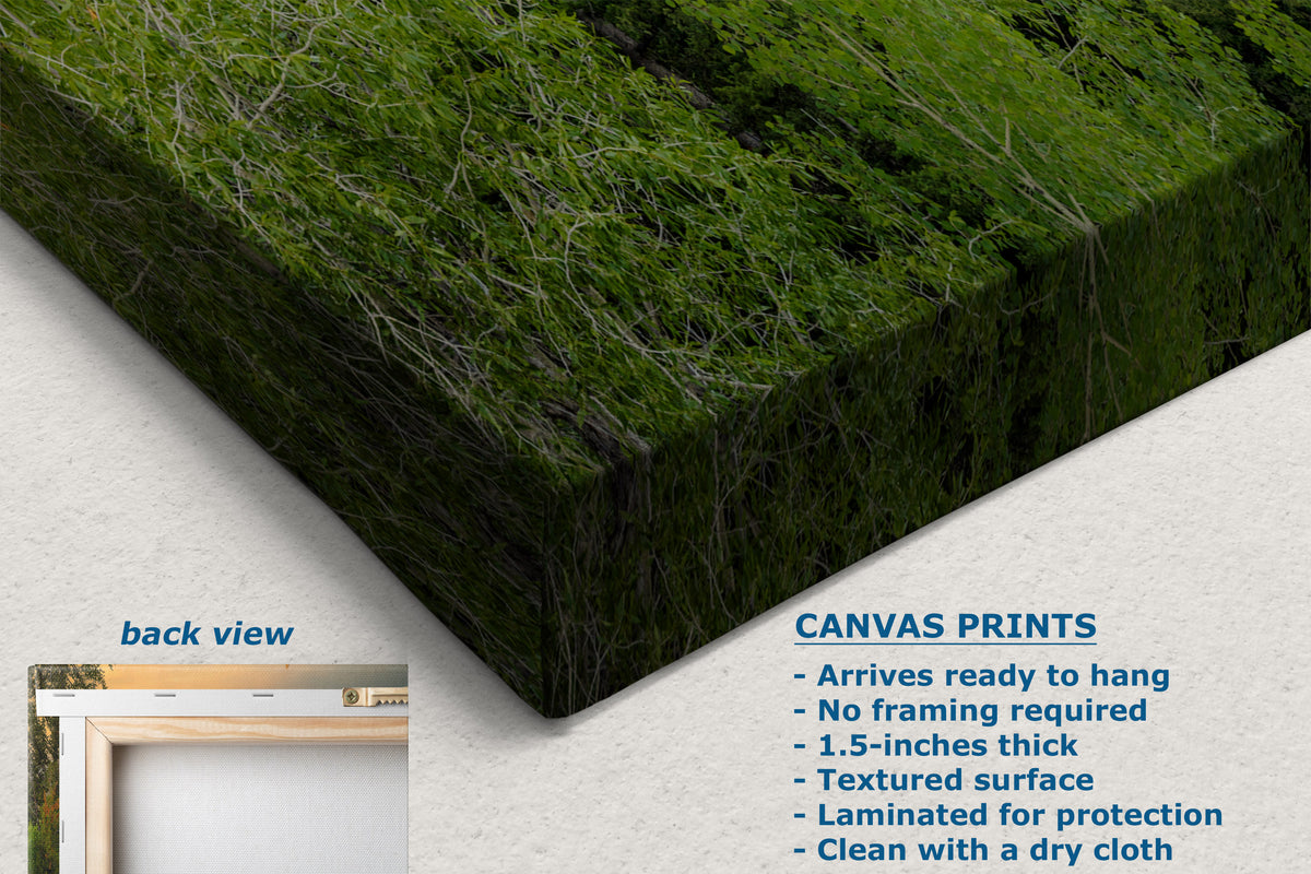 A canvas wall art print showing a green mossy forest texture, displayed at an angle on a light textured background with text describing the product features and a small inset showing the back view.