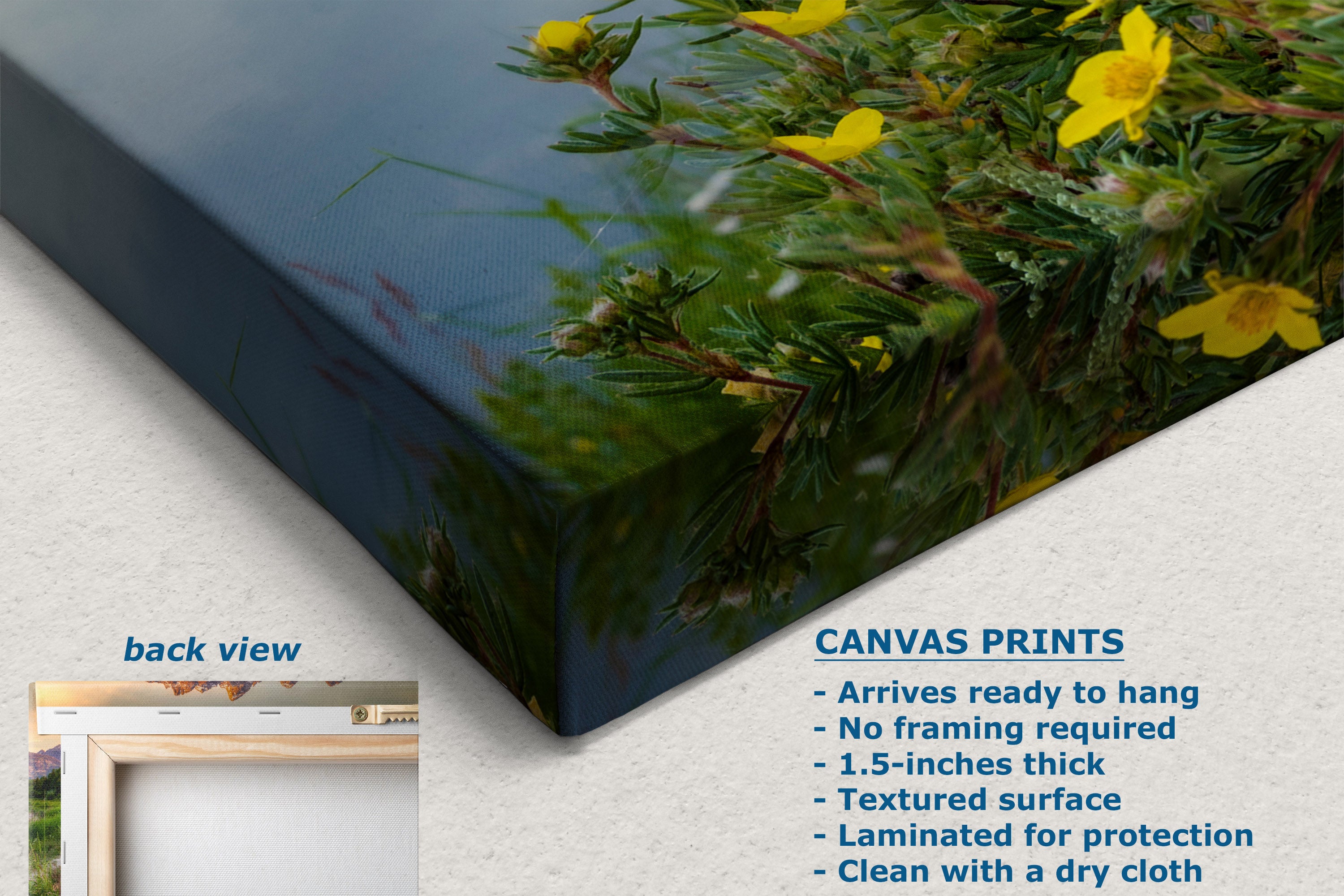 A canvas wall art print shown at an angle on a light neutral background, featuring a nature scene with green foliage and small yellow flowers. Text on the image describes the print features and includes a small inset labeled back view.