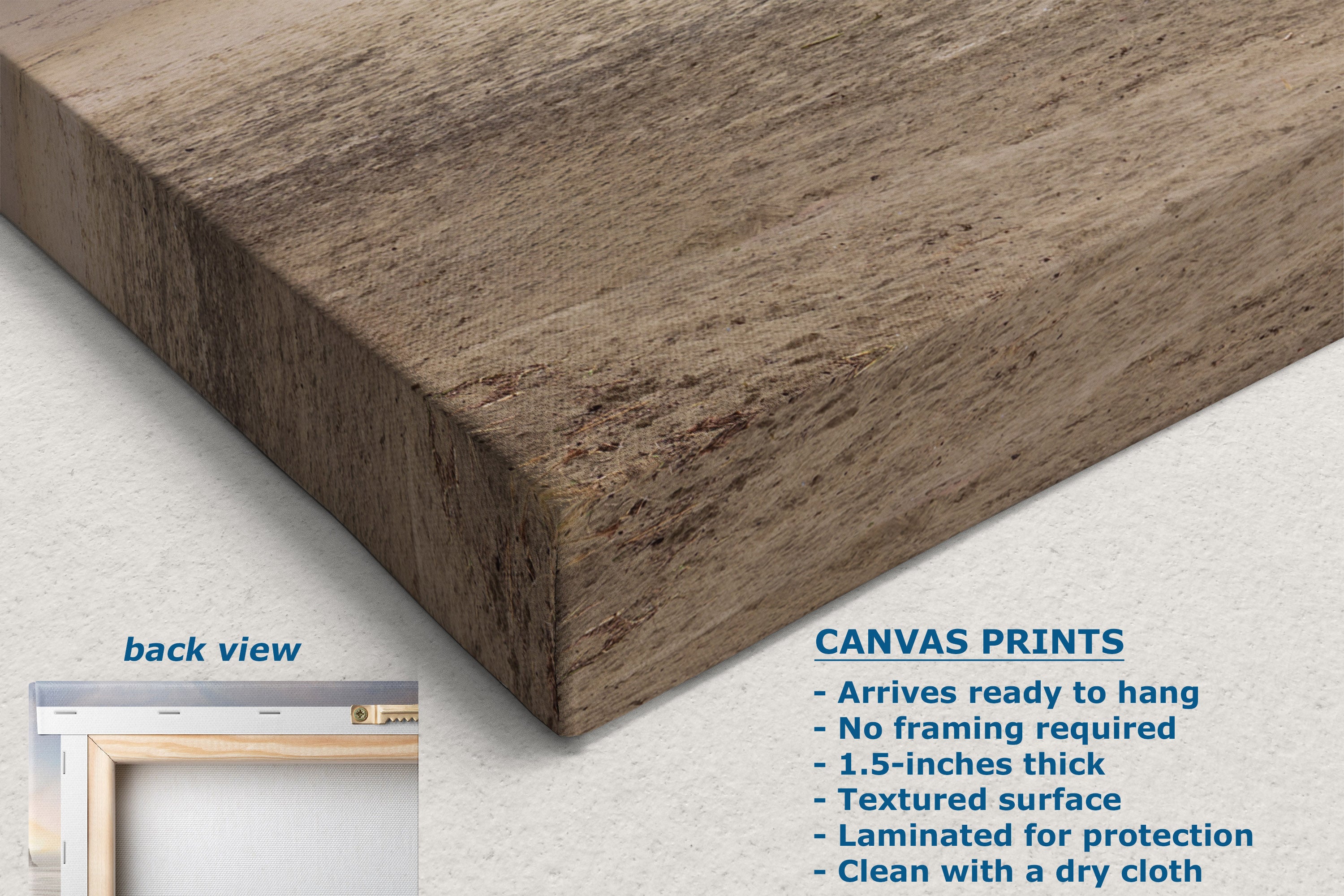 A canvas wall art print shown at an angle with a textured brown and beige woodgrain pattern, on a light neutral background. The image includes a text callout describing canvas print features and a small inset labeled 'back view' showing the canvas edge.