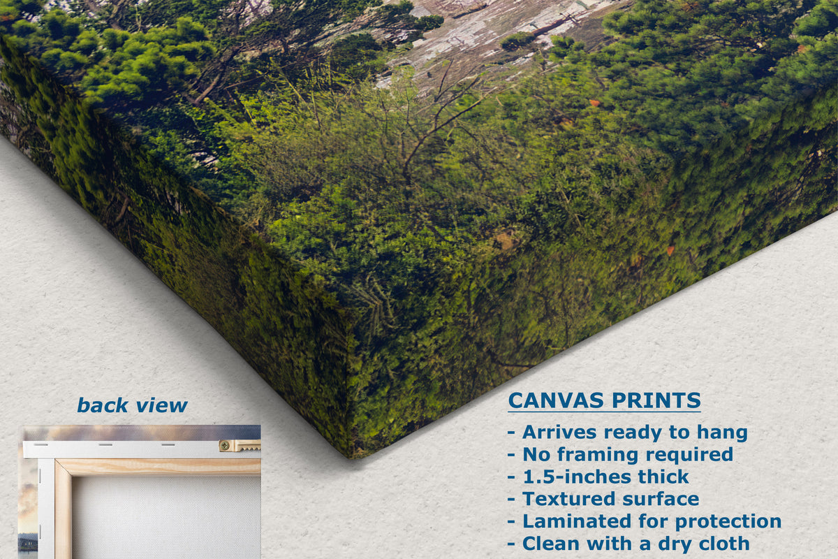 A canvas wall art print showing a forest scene, displayed at an angle with a textured off-white background. The image includes a text overlay detailing product features ('CANVAS PRINTS') and a small inset labeled 'back view' showing a frame.