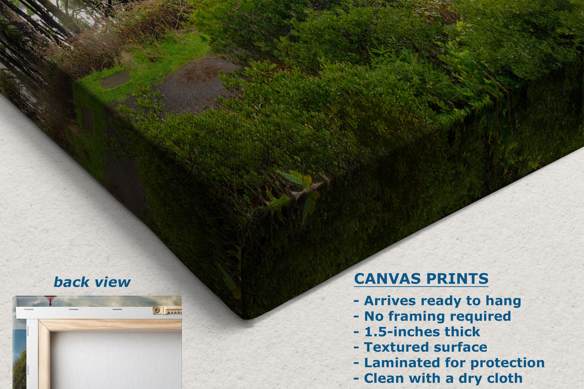 Canvas wall art print shown at an angle on a light background, featuring a mossy green forest floor scene. Text on the image includes 'CANVAS PRINTS' with product details and a small inset labeled 'back view' showing a framed mockup.